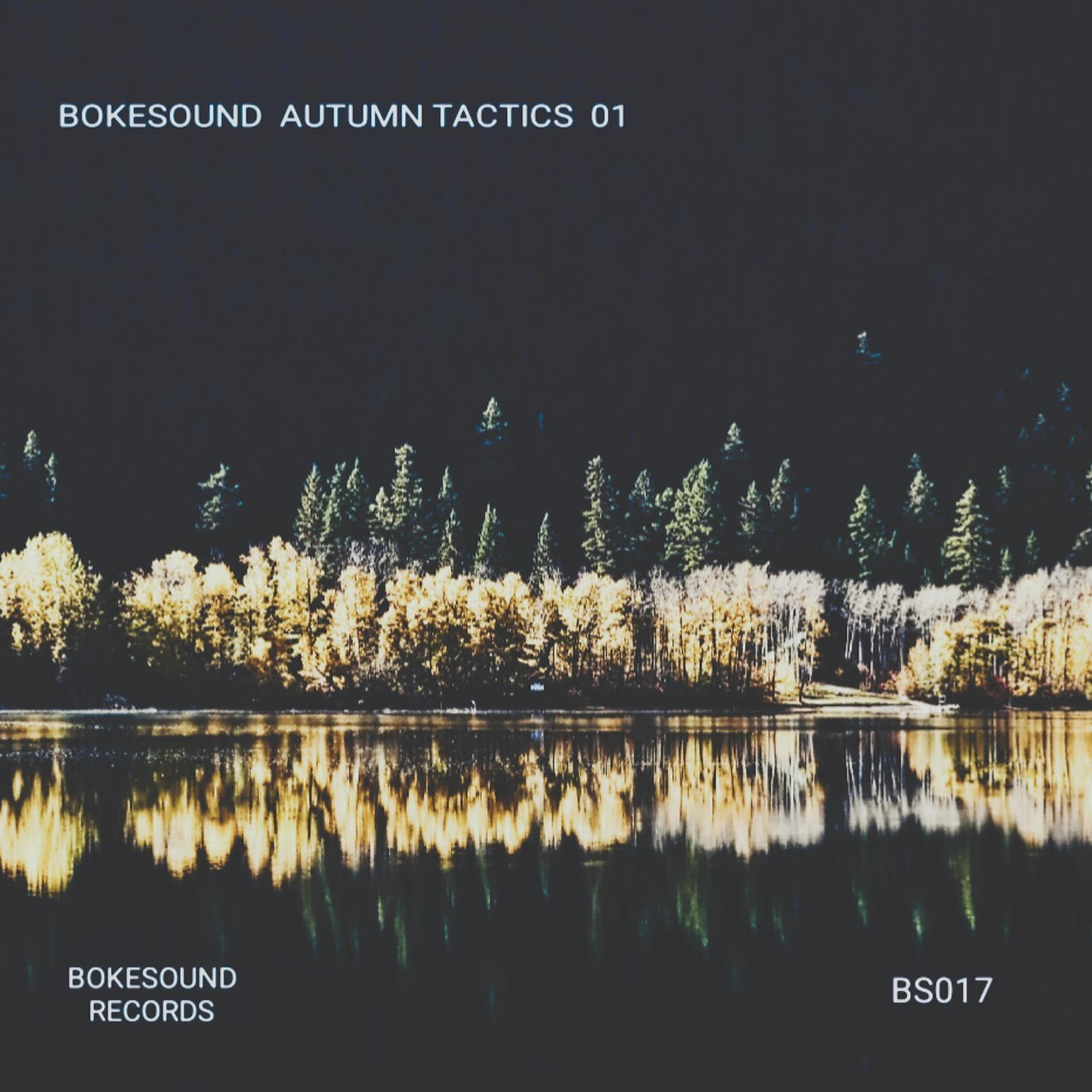 Постер альбома Bokesound Autumn Tactics 01