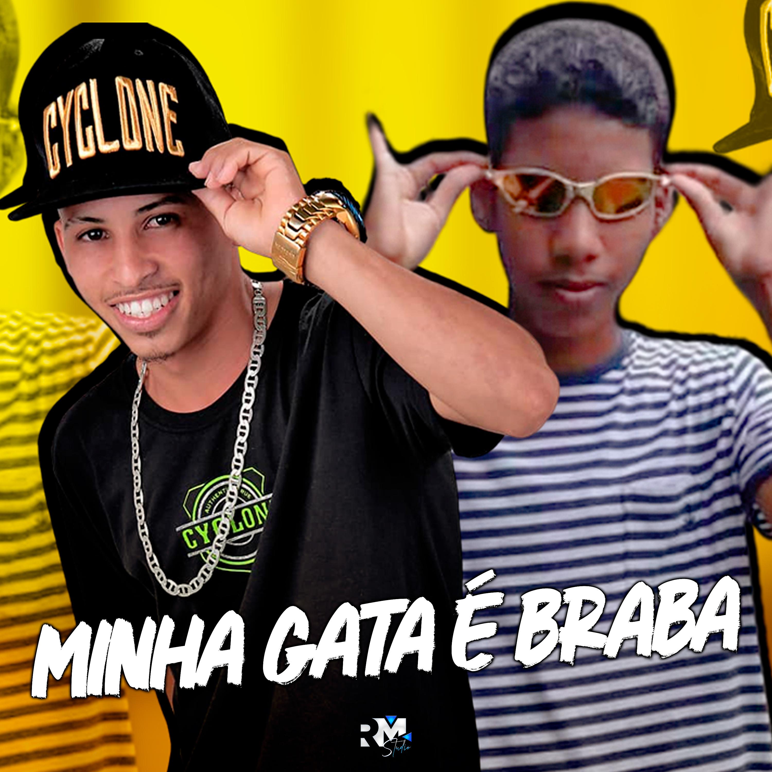 Постер альбома Minha Gata É Braba