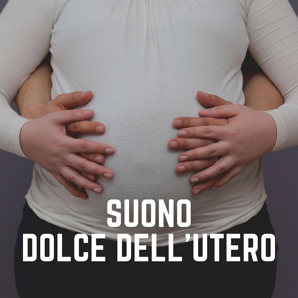 Постер альбома Suono Dolce Dell'utero