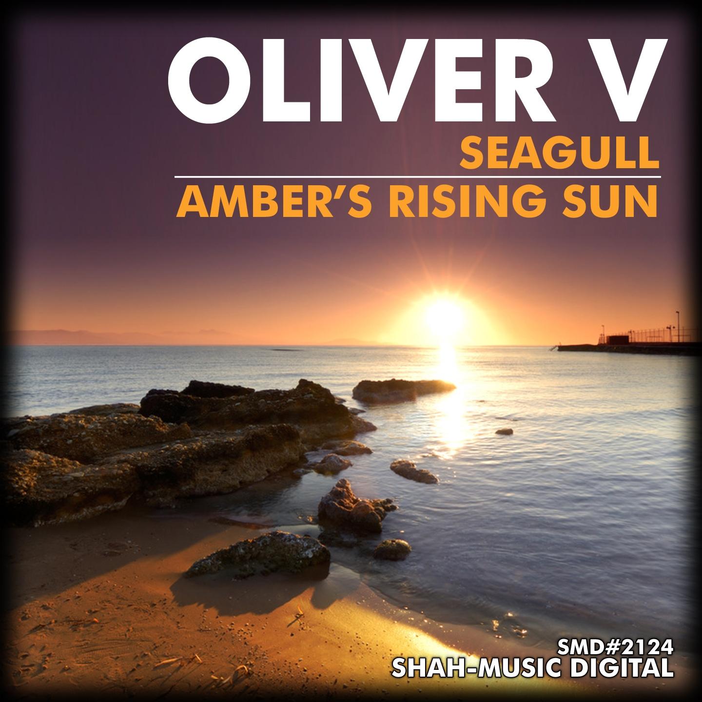 Постер альбома Seagull / Ambers Rising Sun