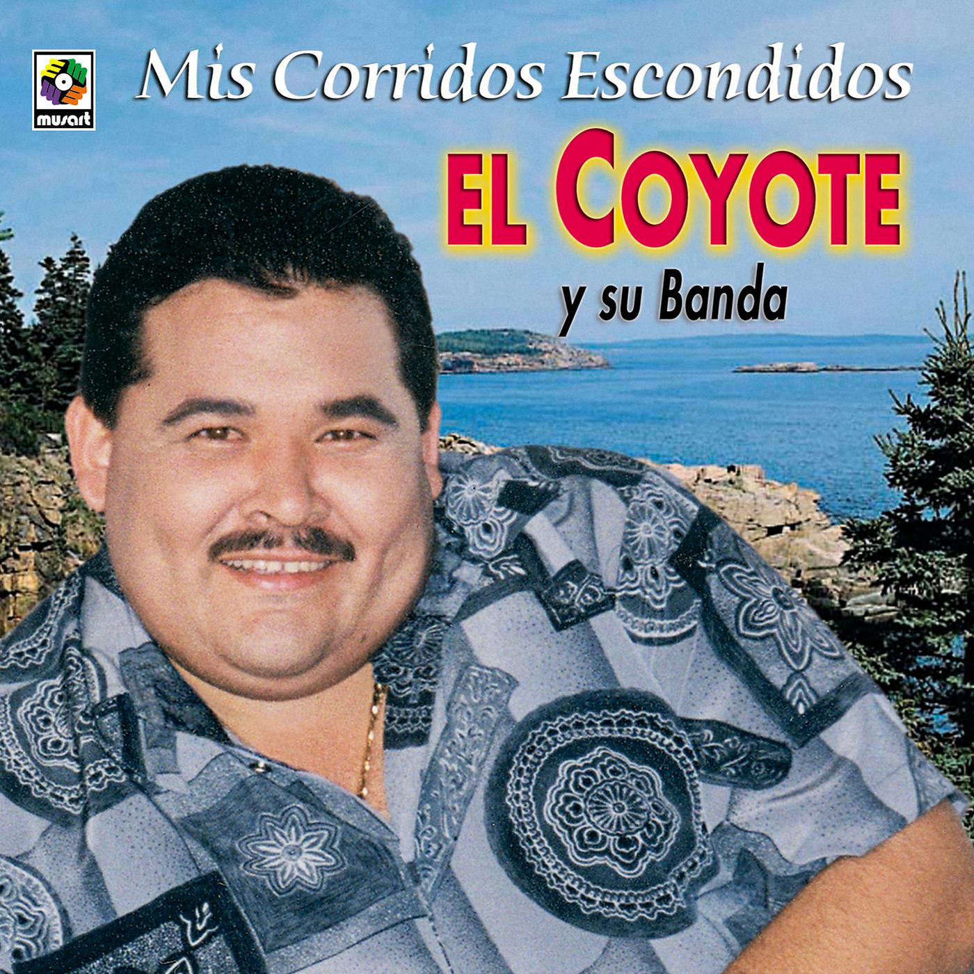 Постер альбома Mis Corridos Escondidos