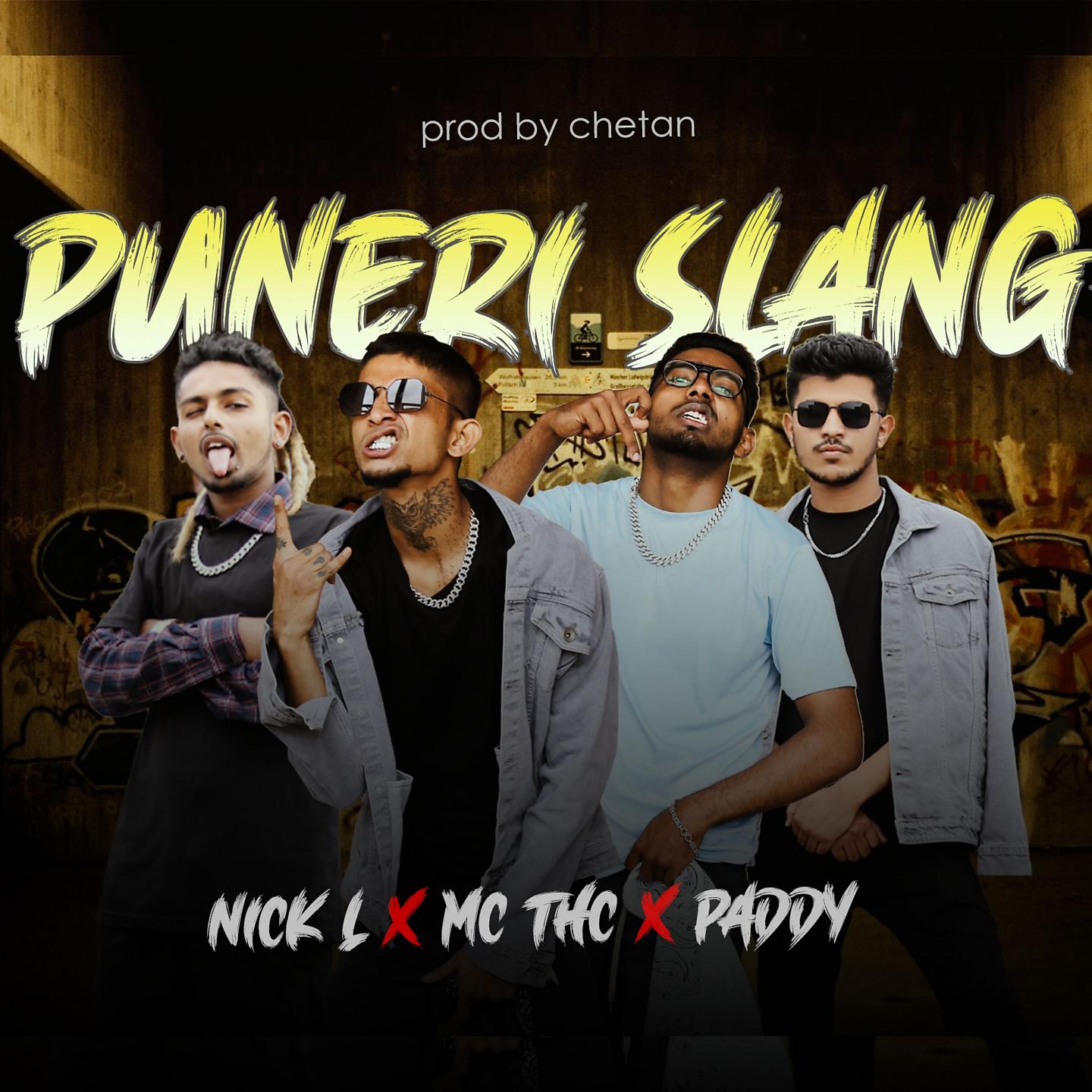 Постер альбома Puneri Slang