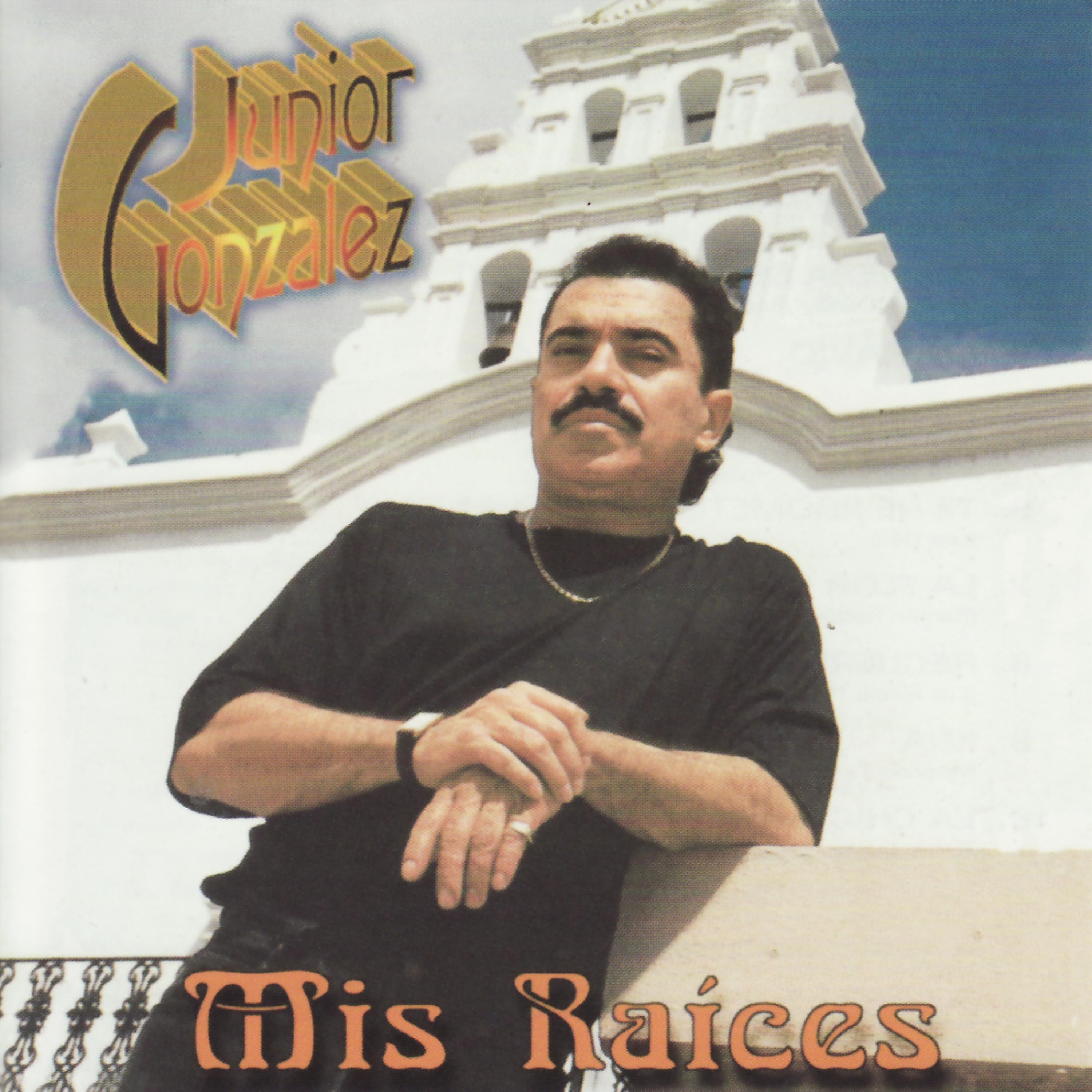 Постер альбома Mis Raíces