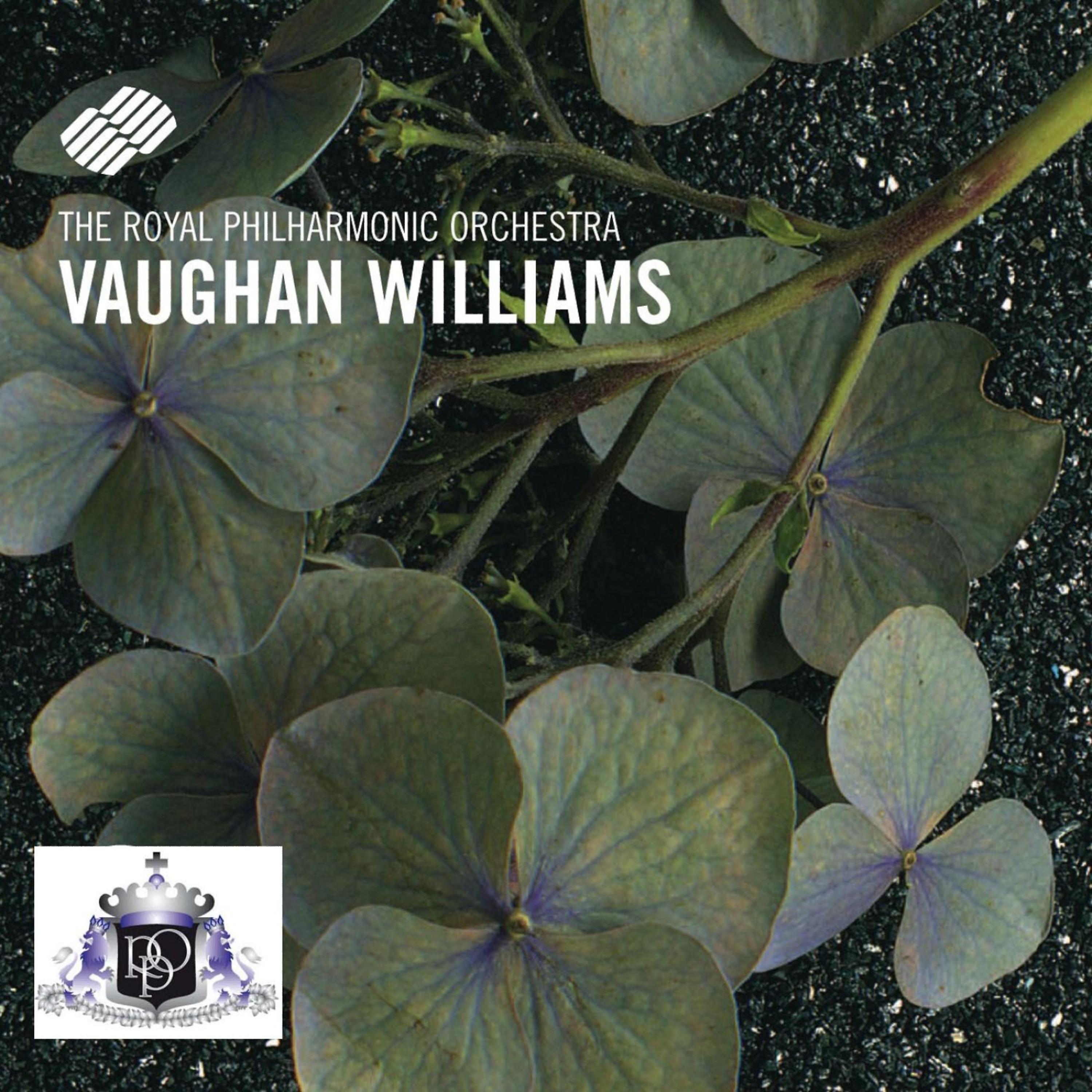 Постер альбома Vaughan Williams