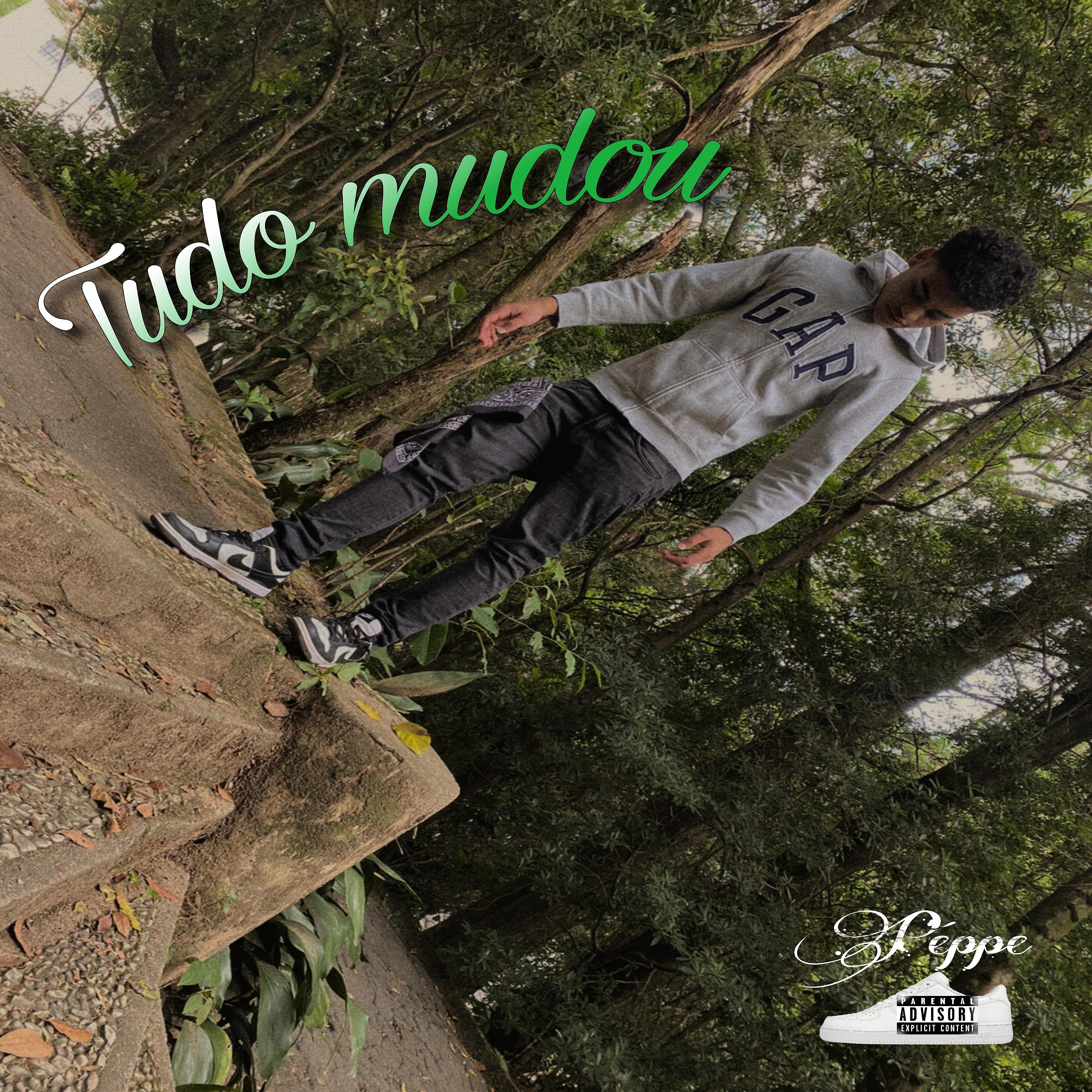 Постер альбома Tudo Mudou