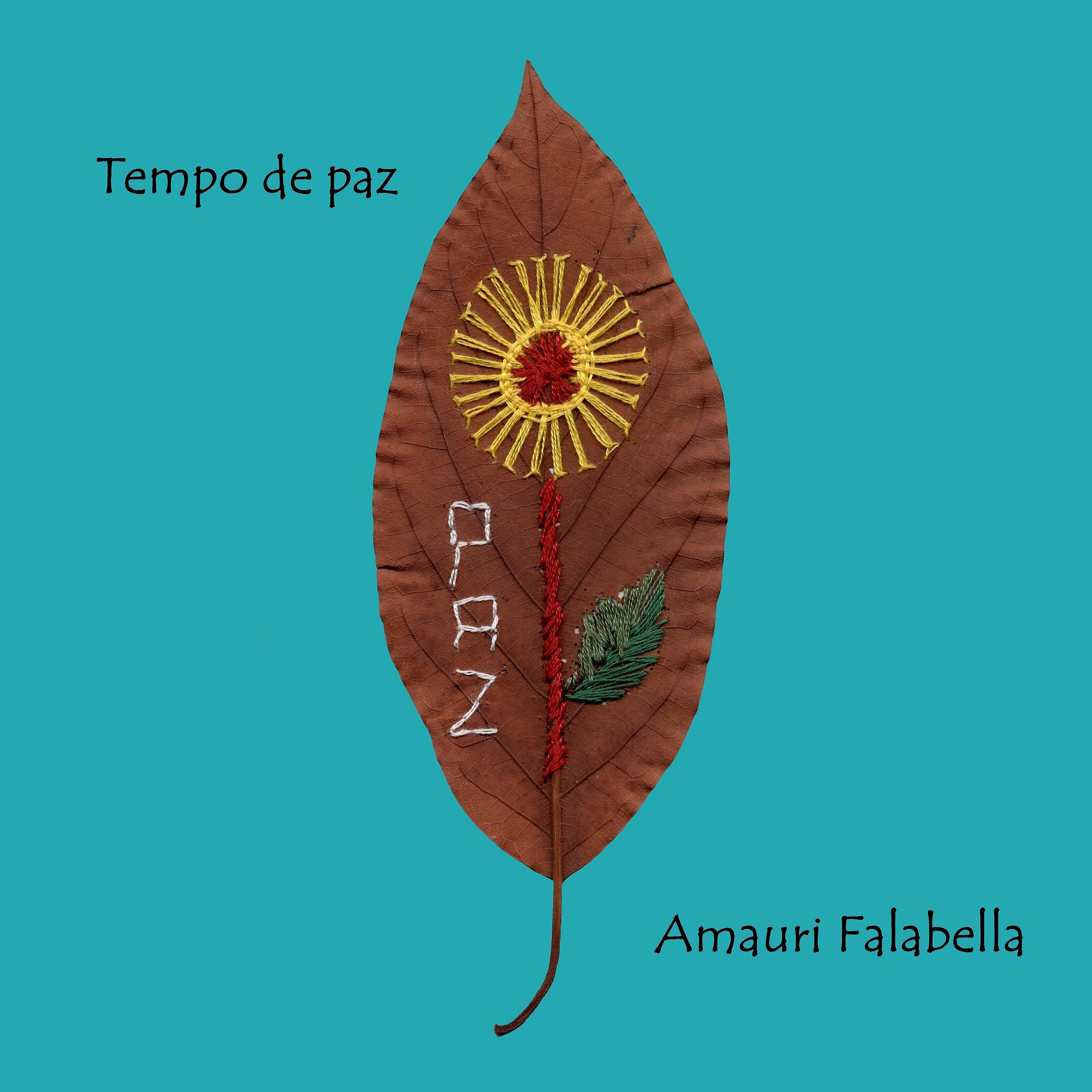 Постер альбома Tempo de Paz