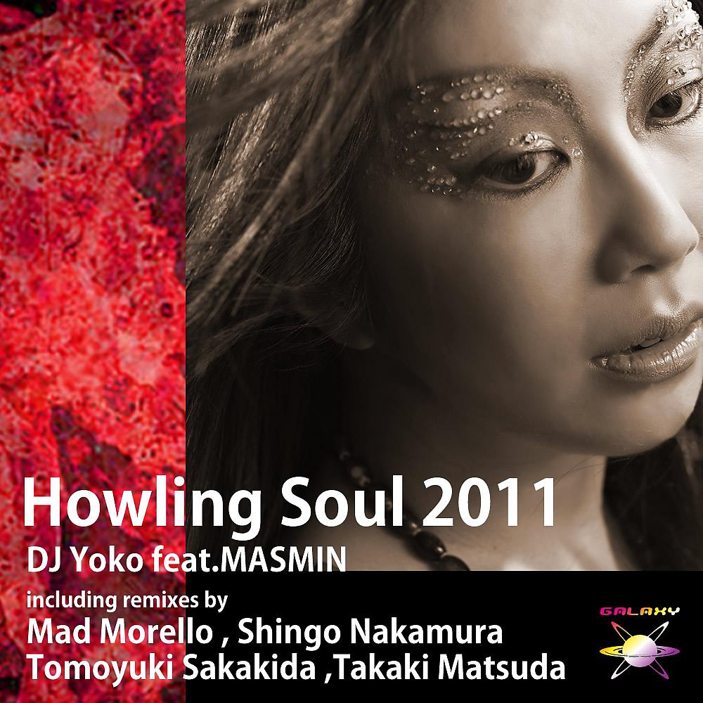 Постер альбома Howling Soul 2011