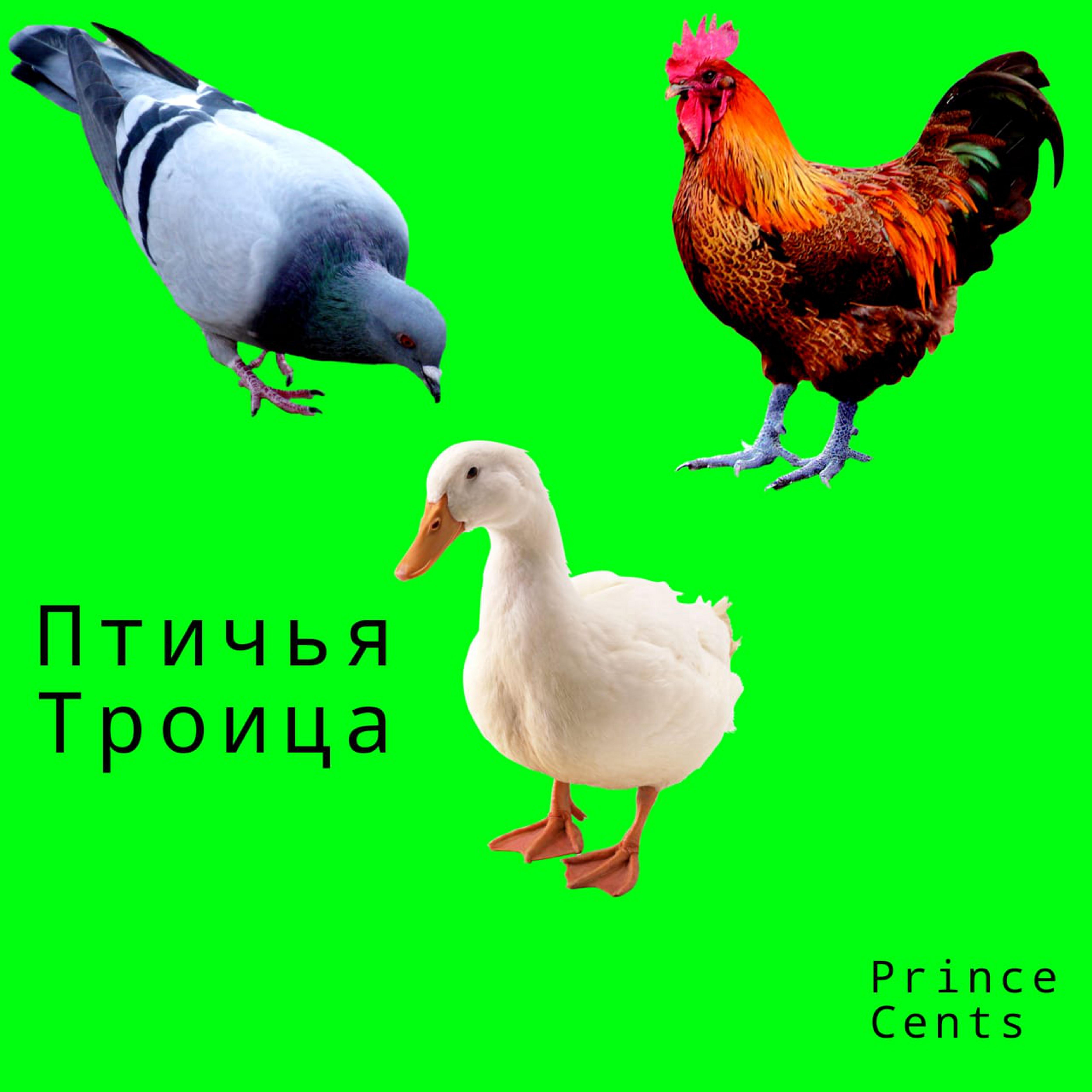 Постер альбома Птичья троица