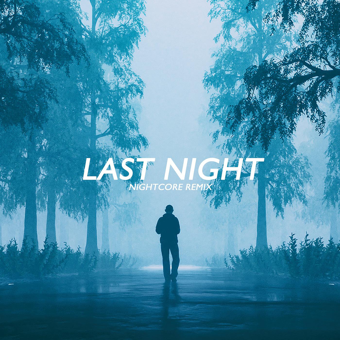 Постер альбома Last Night (Nightcore Remix)