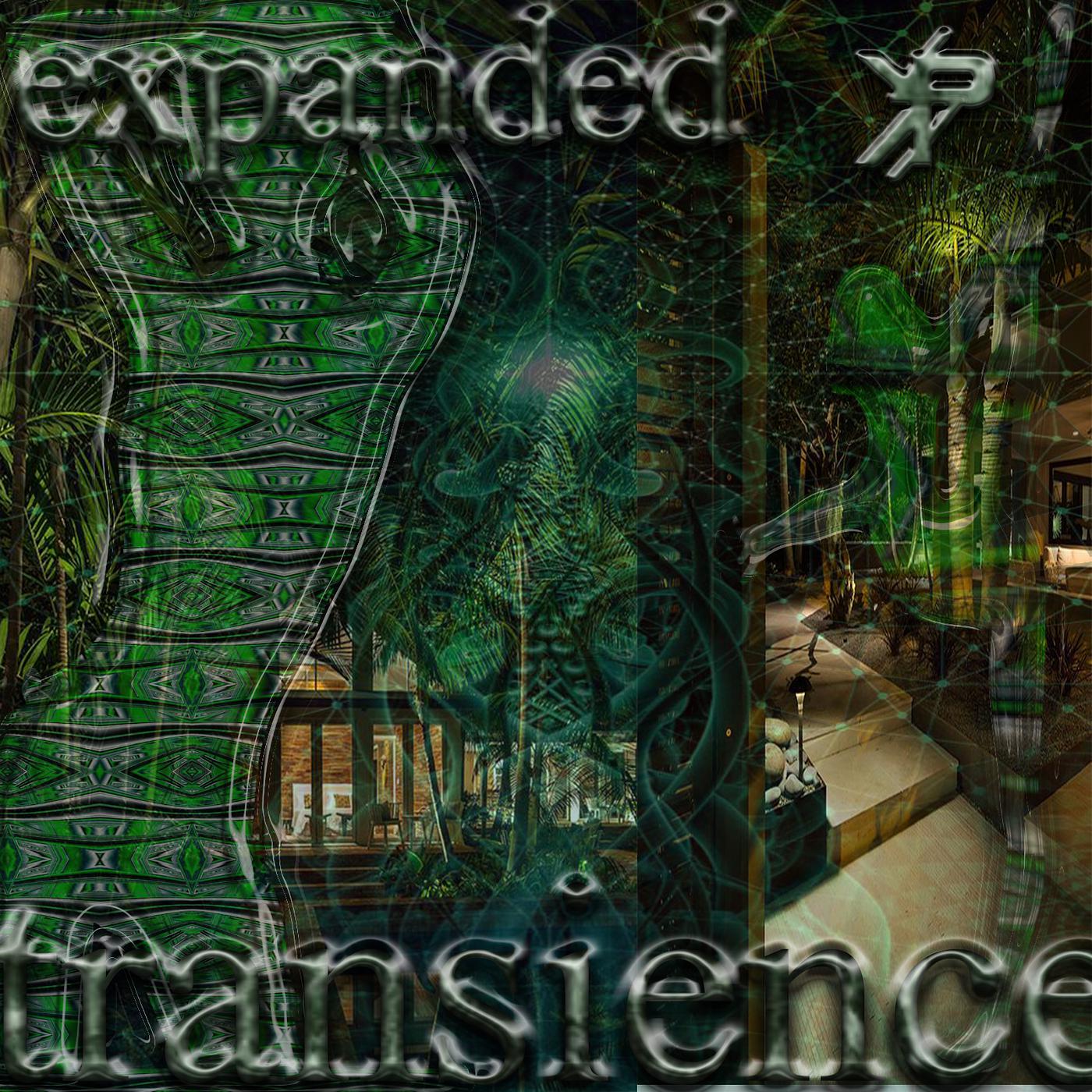 Постер альбома Transience Expanded