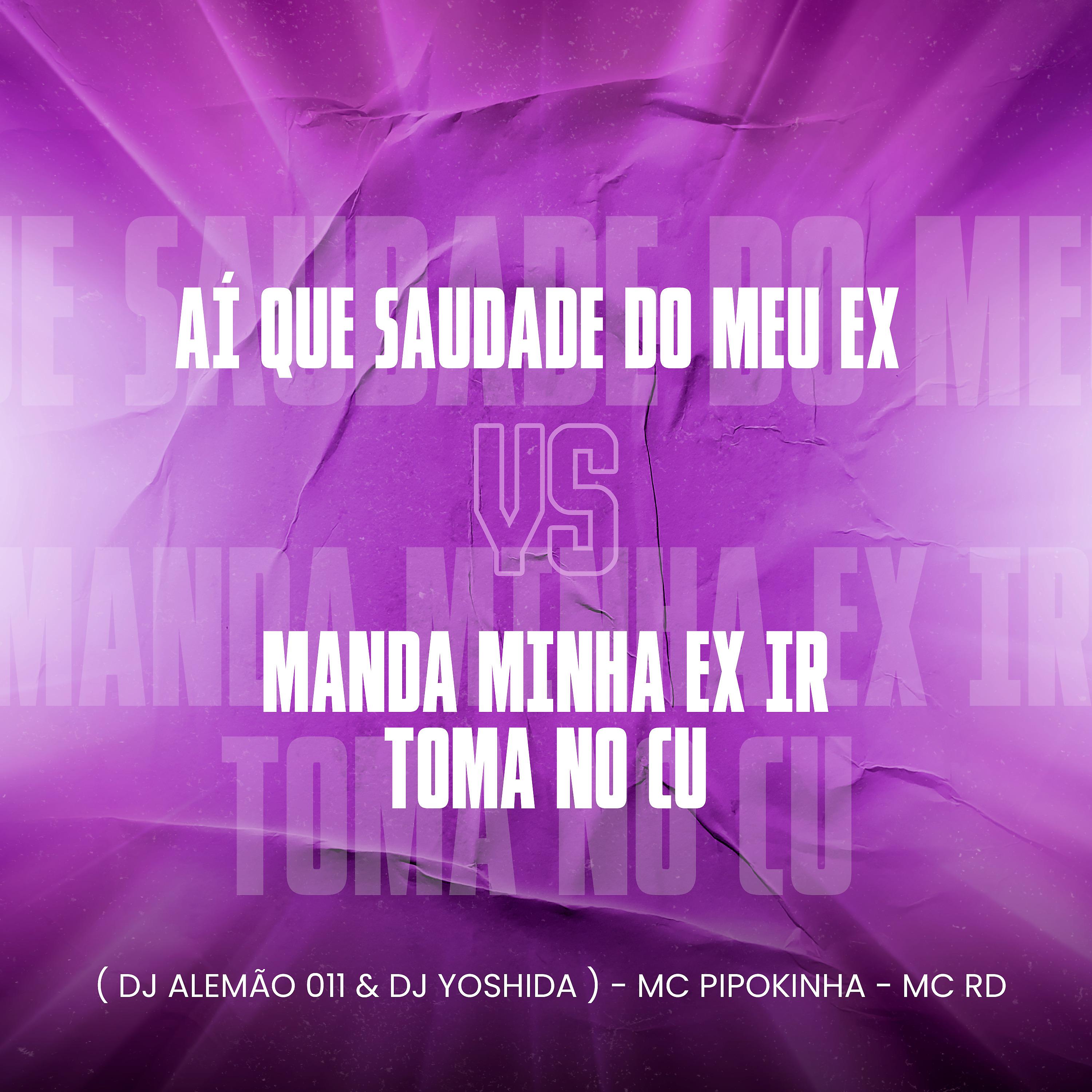 Постер альбома Aí Que Saudade do Meu Ex Vs Manda Minha Ex Ir Toma no Cu
