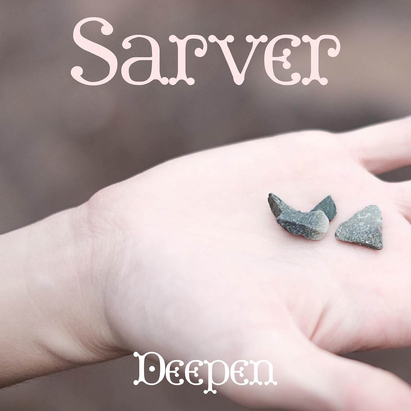 Постер альбома Sarver