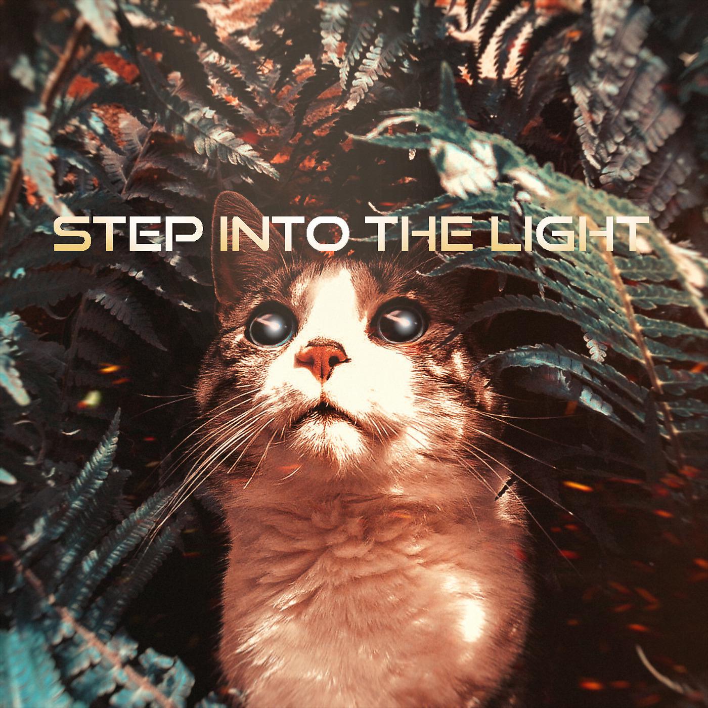 Постер альбома Step into the Light