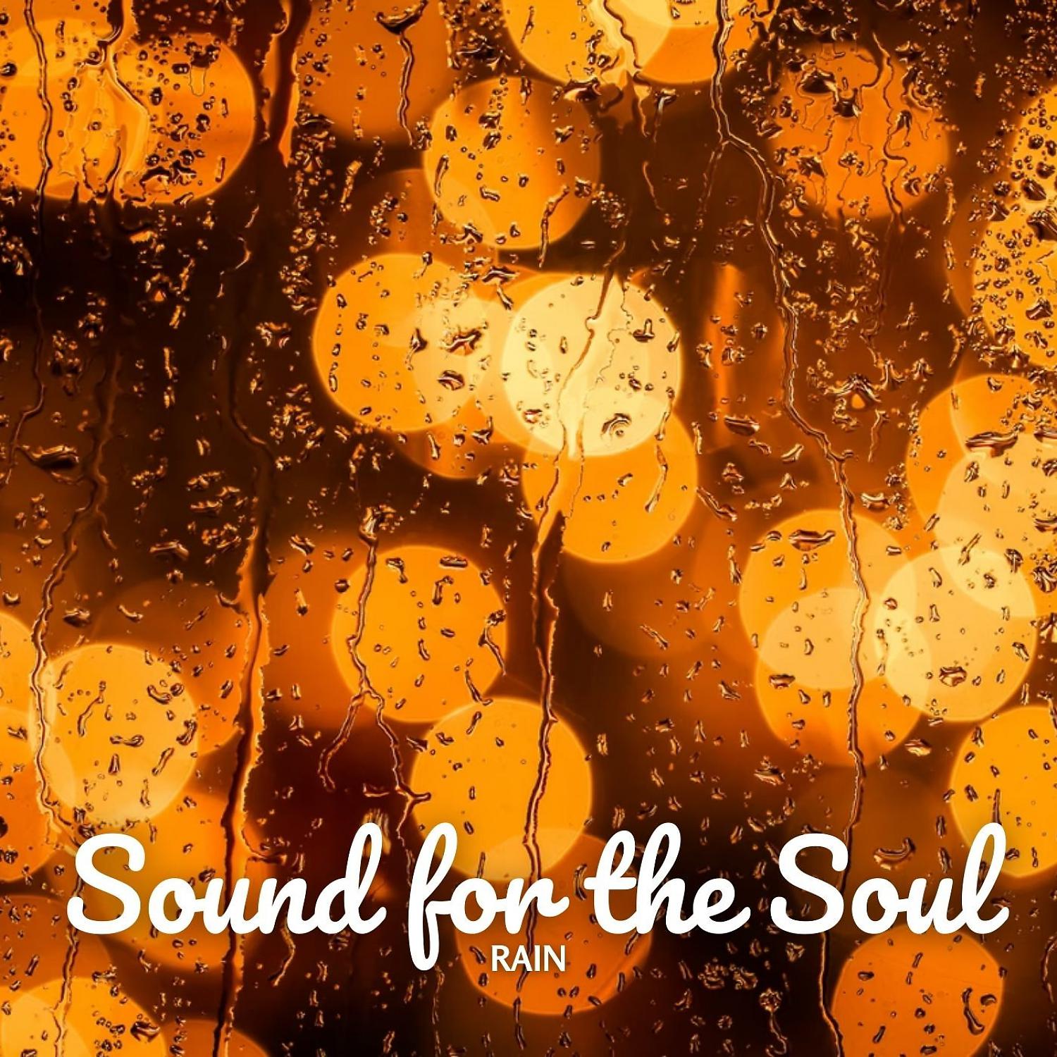Постер альбома Rain: Sound for the Soul