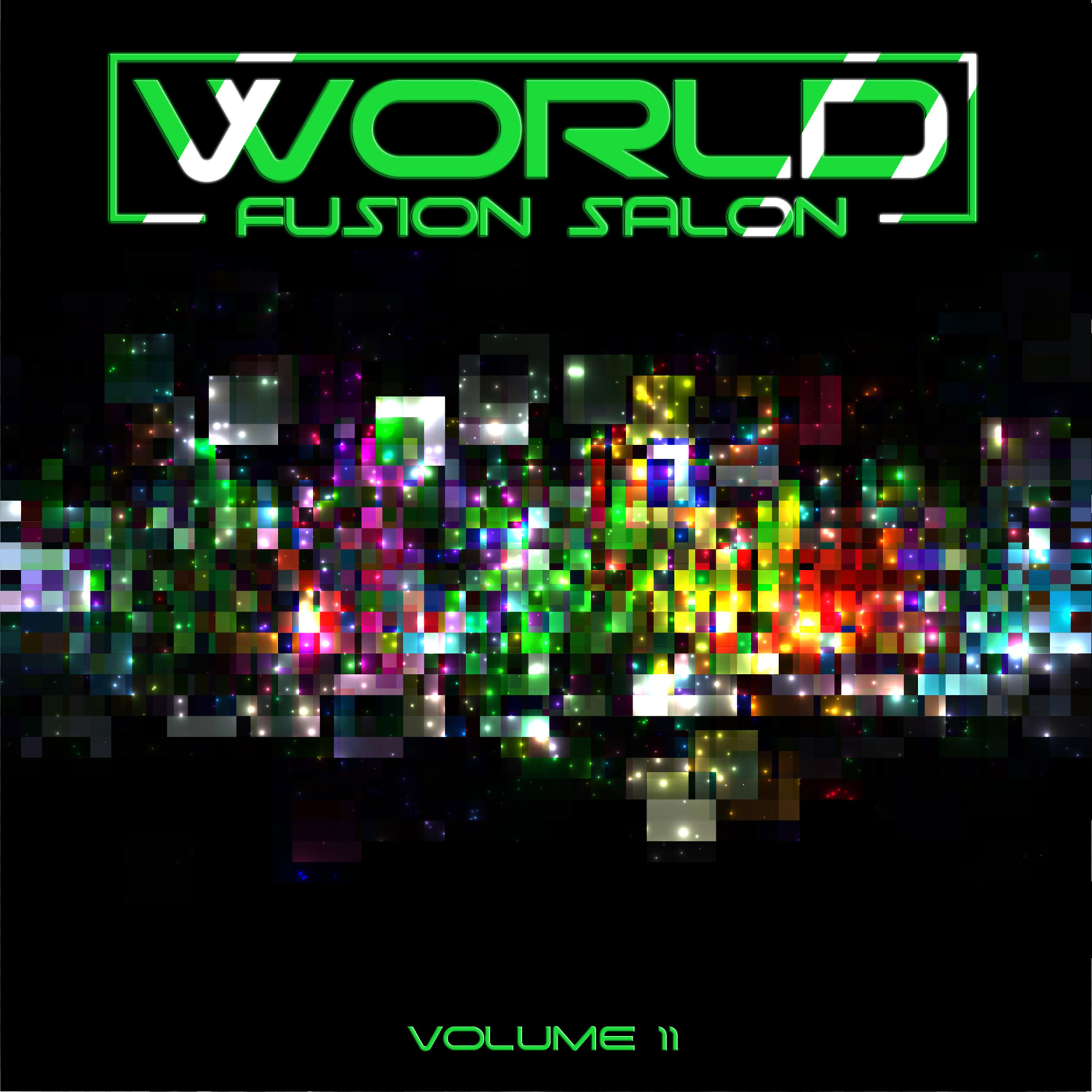 Постер альбома World Fusion Salon, Vol. 11