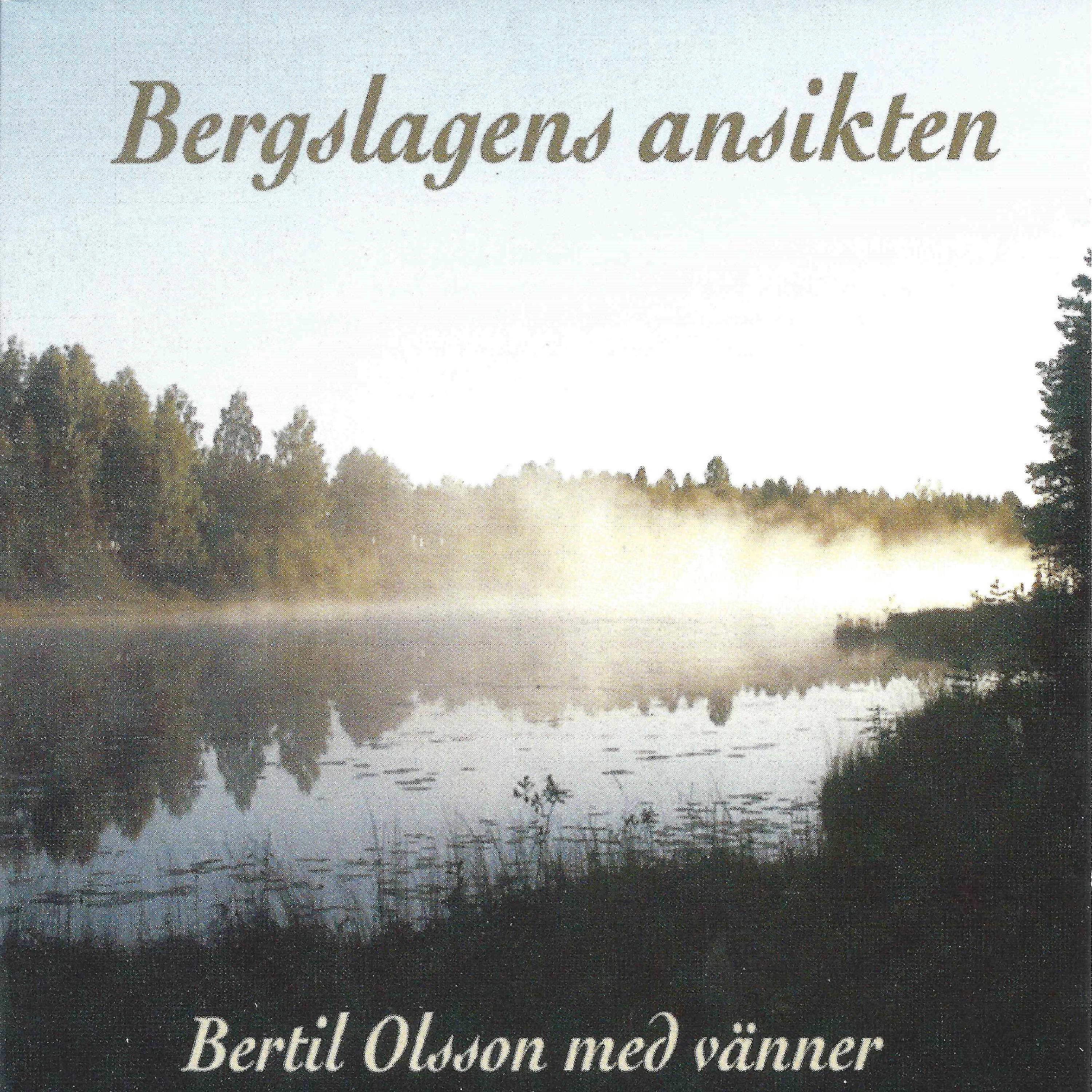 Постер альбома Bergslagens ansikten