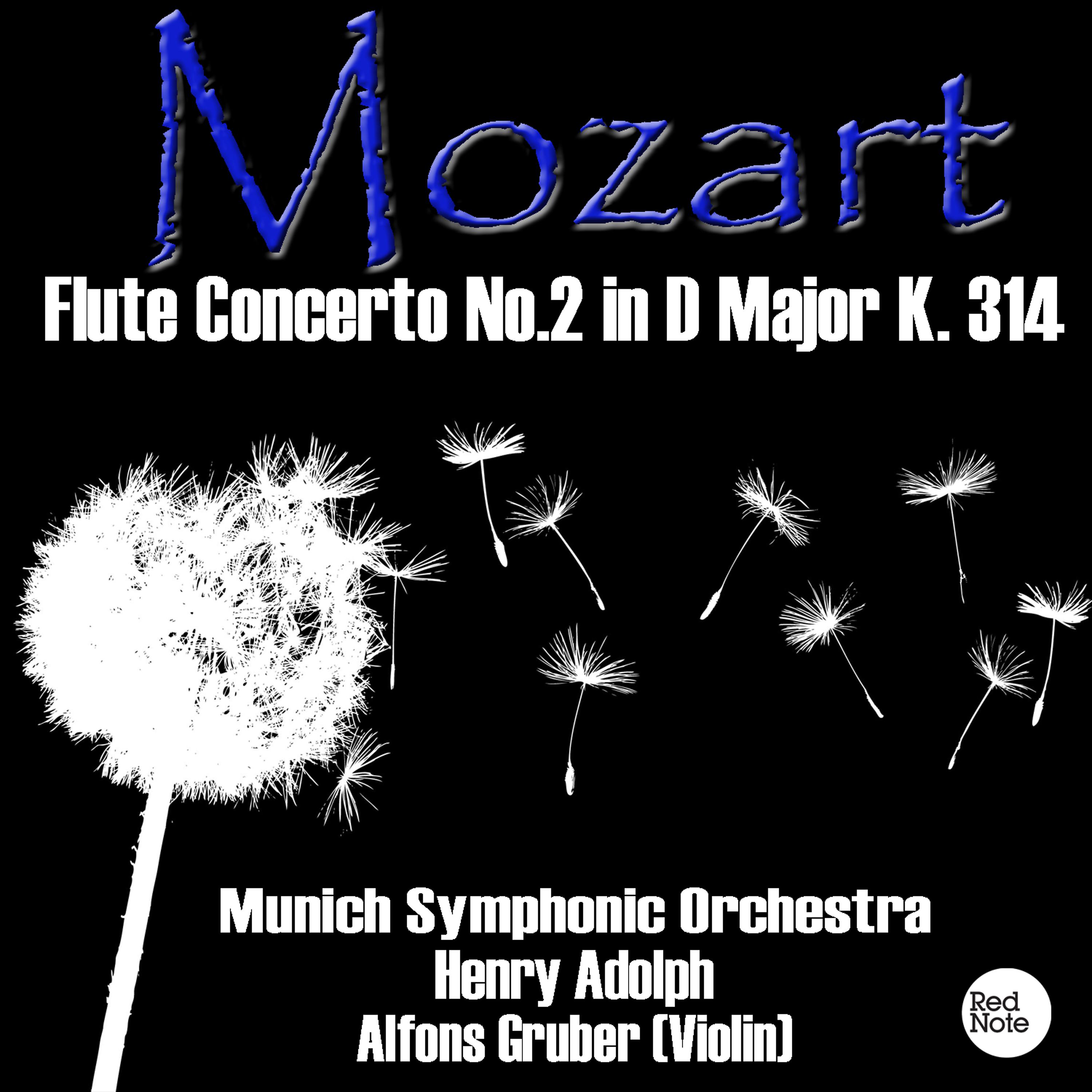 Постер альбома Mozart: Flute Concerto No.2 in D Major K. 314