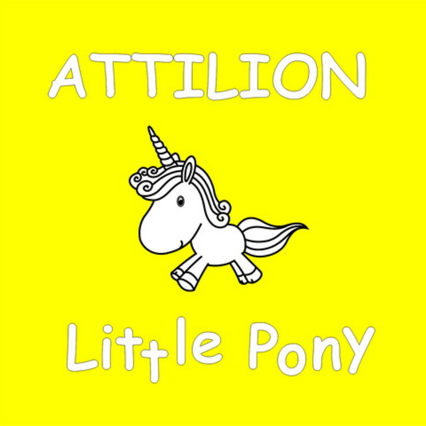 Постер альбома Little Pony