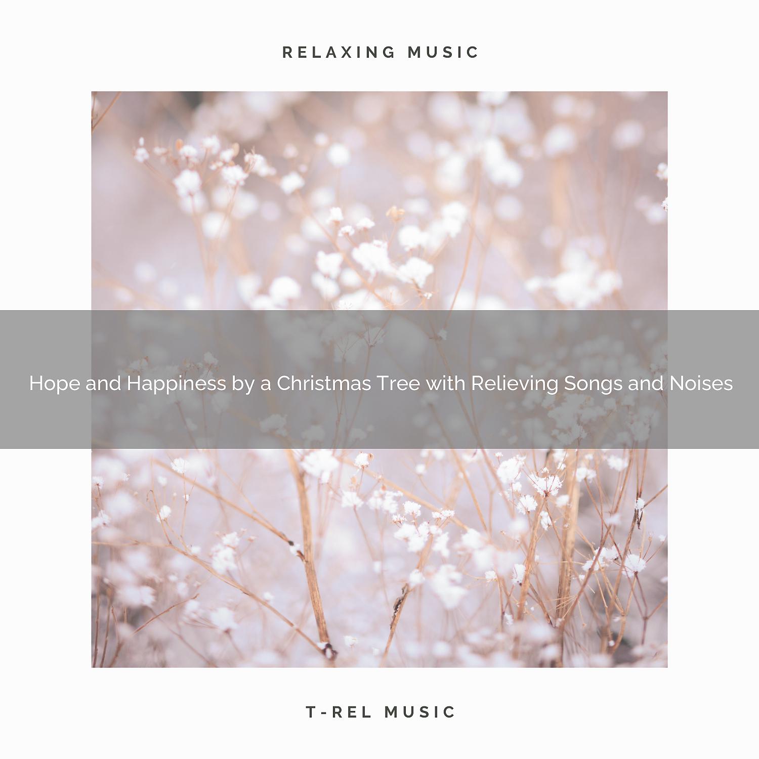 Постер альбома Hope and Happiness by a Christmas Tree with Relieving Songs and Noises