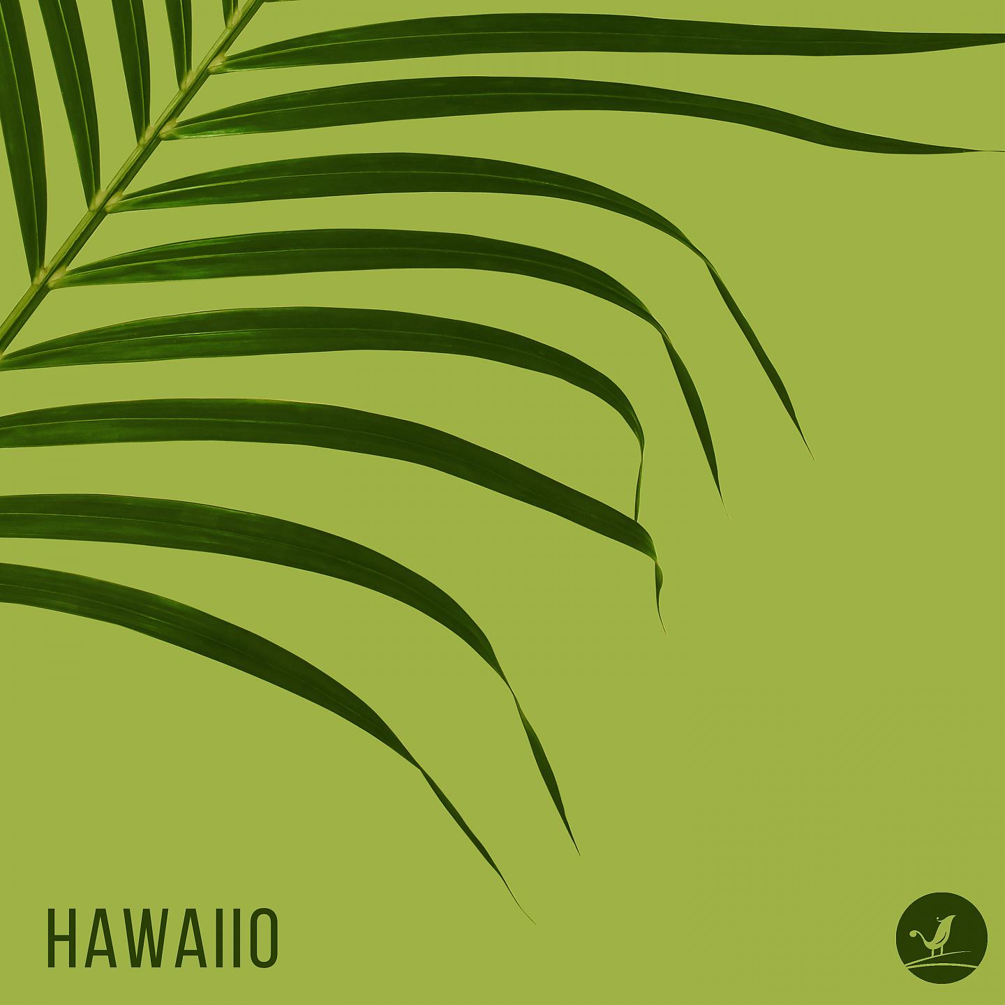 Постер альбома Hawaiio