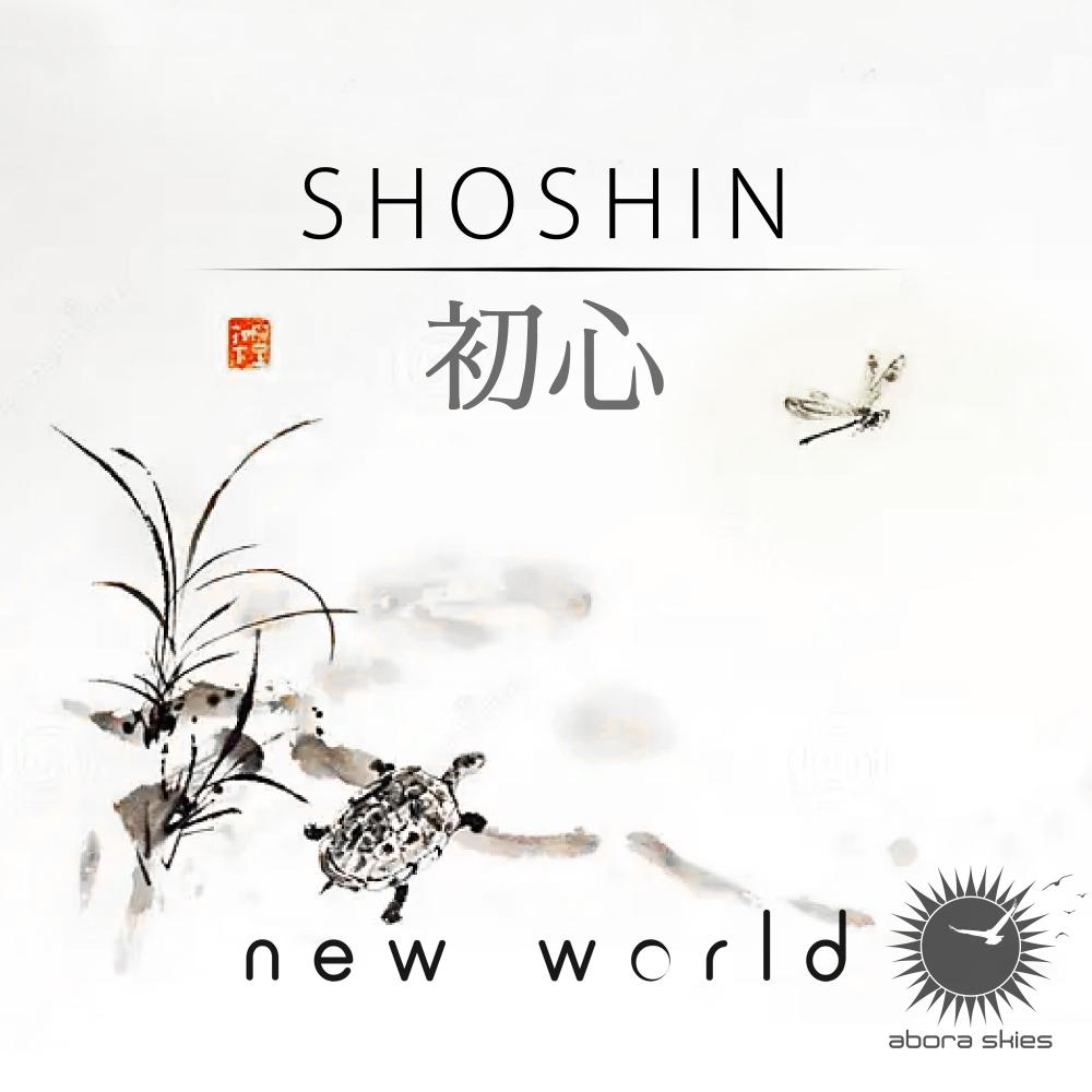Постер альбома Shoshin