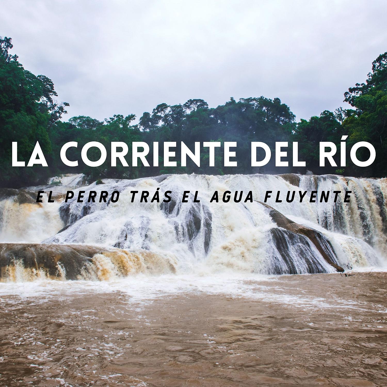 Постер альбома La Corriente Del Río: El Perro Trás El Agua Fluyente