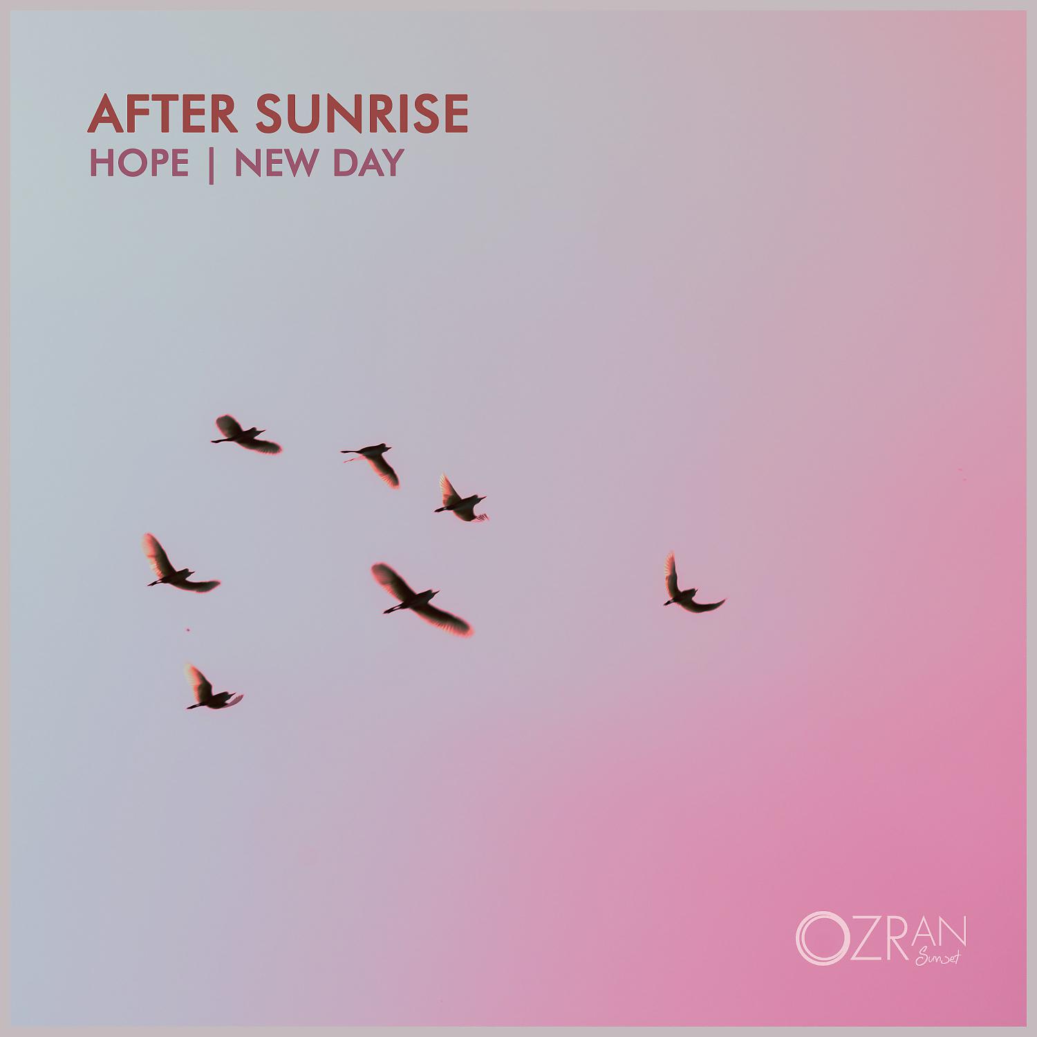 Постер альбома Hope | New Day