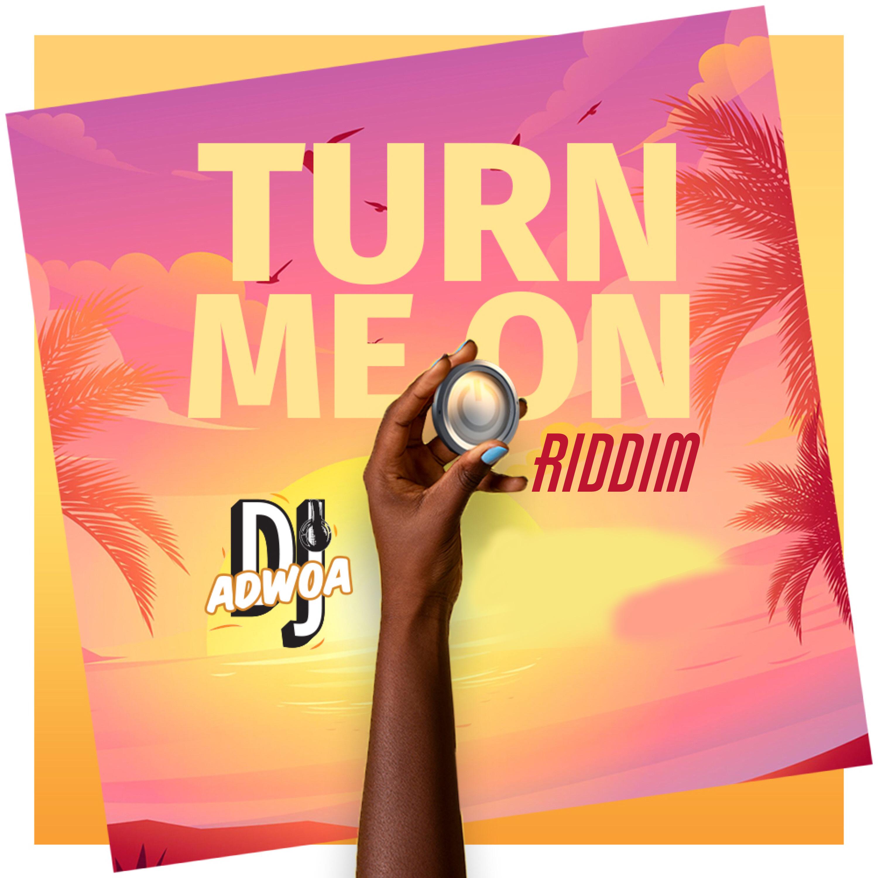 Постер альбома Turn Me on ( Riddim )