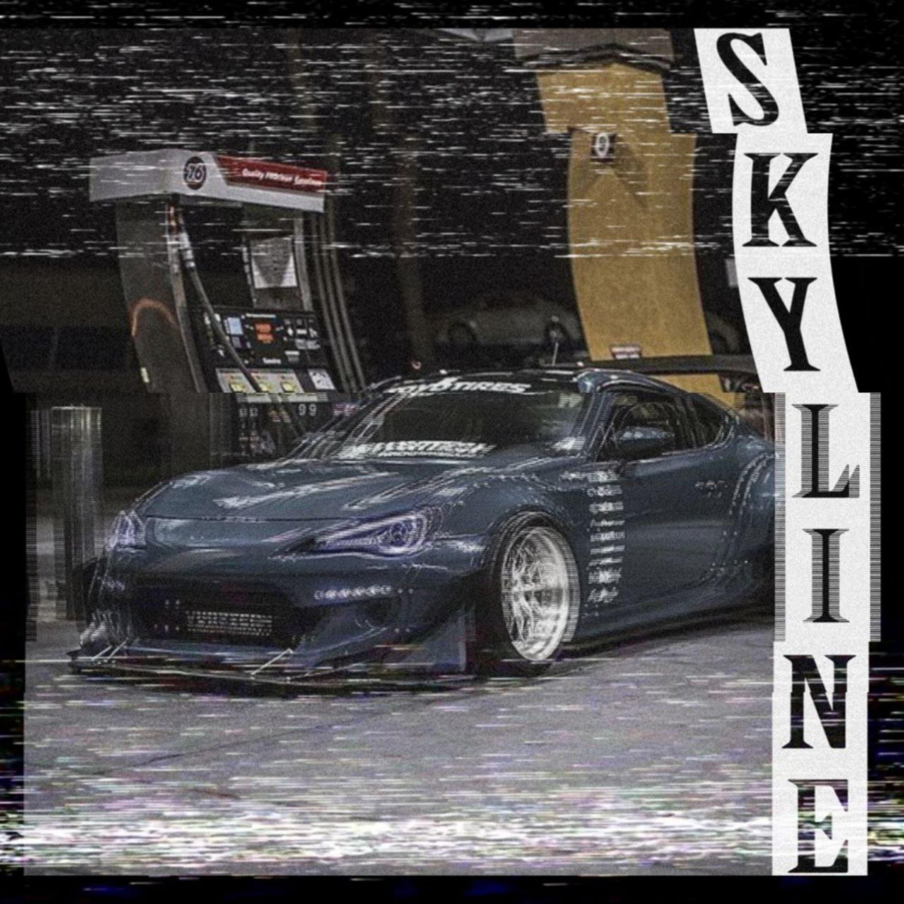Постер альбома Skyline