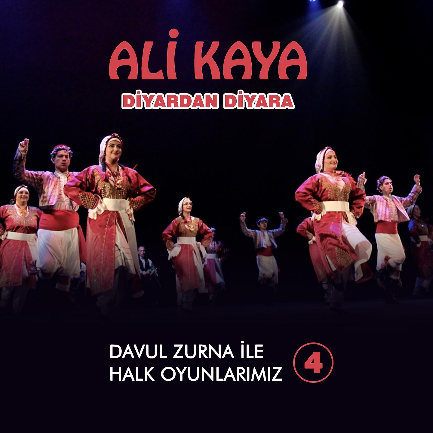 Постер альбома Diyardan Diyara Davul Zurna İle Halk Oyunları, Vol. 4