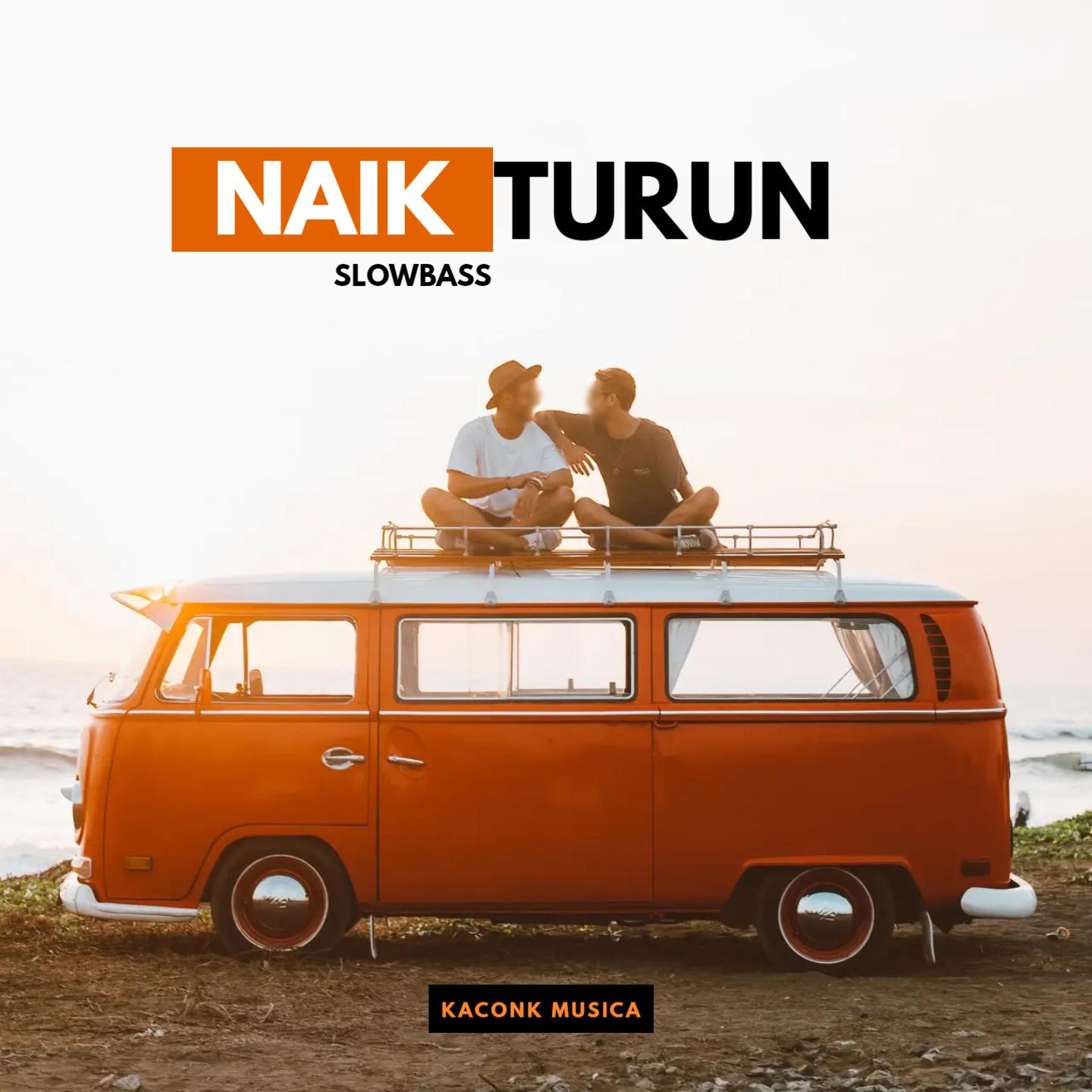 Постер альбома NAIK TURUN - SLOWBASS