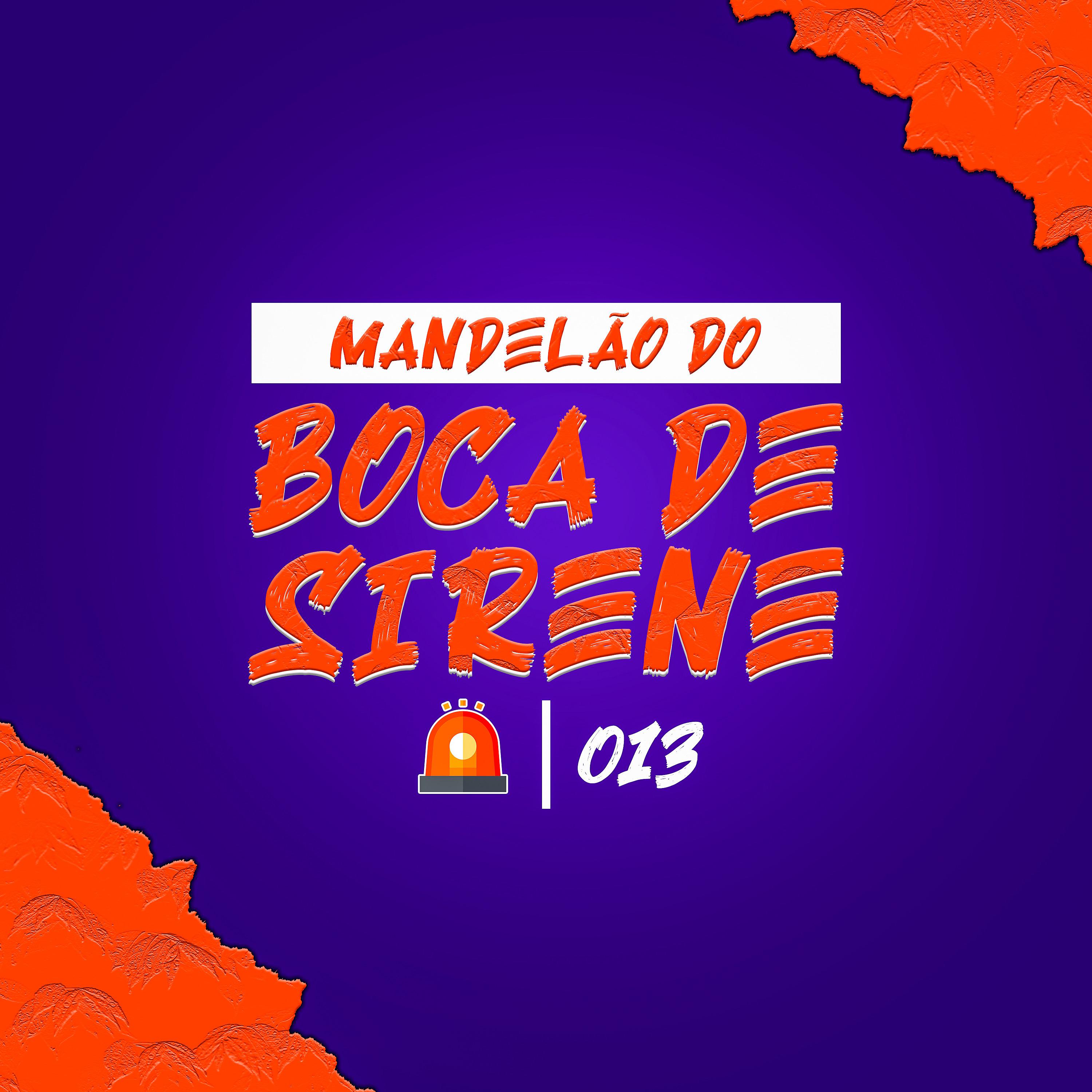 Постер альбома Mandelão do Boca de Sirene 013