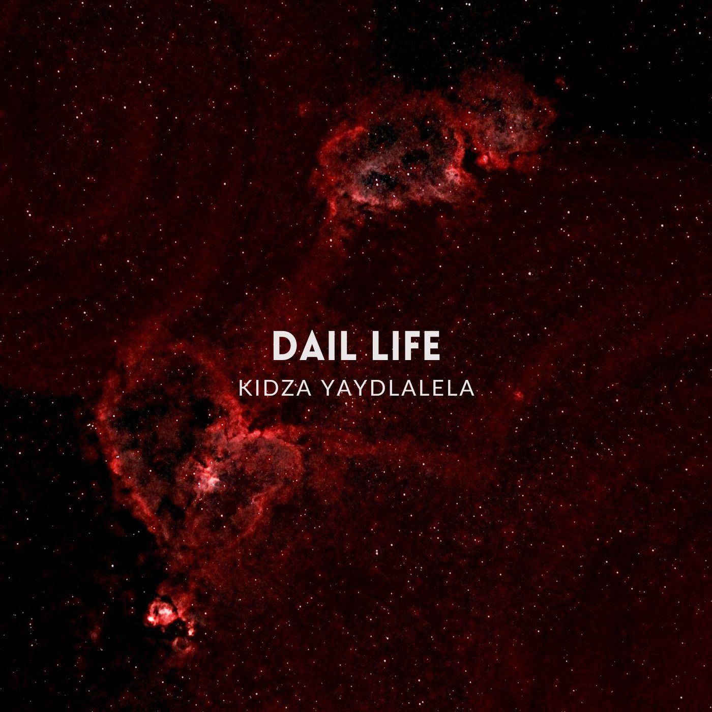 Постер альбома Dail Life