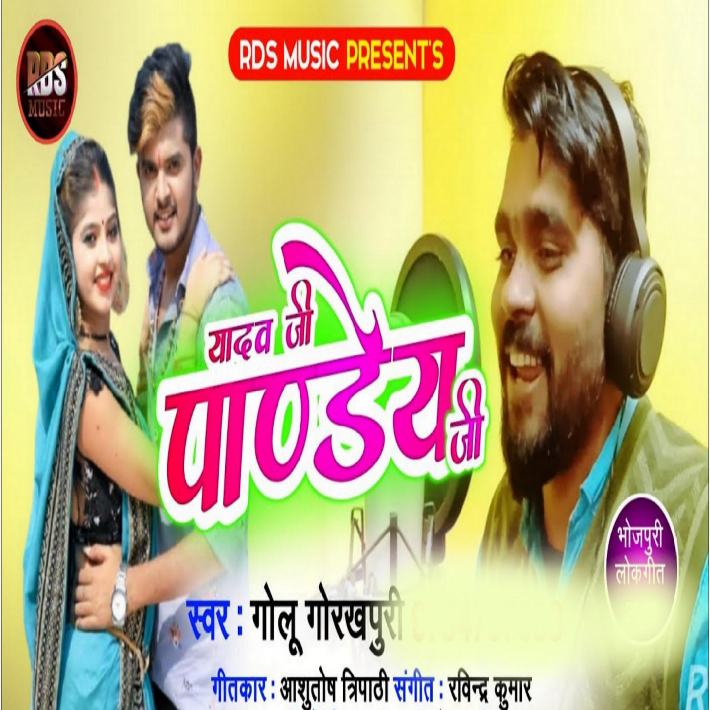 Постер альбома Yadav Ji Pandey Ji