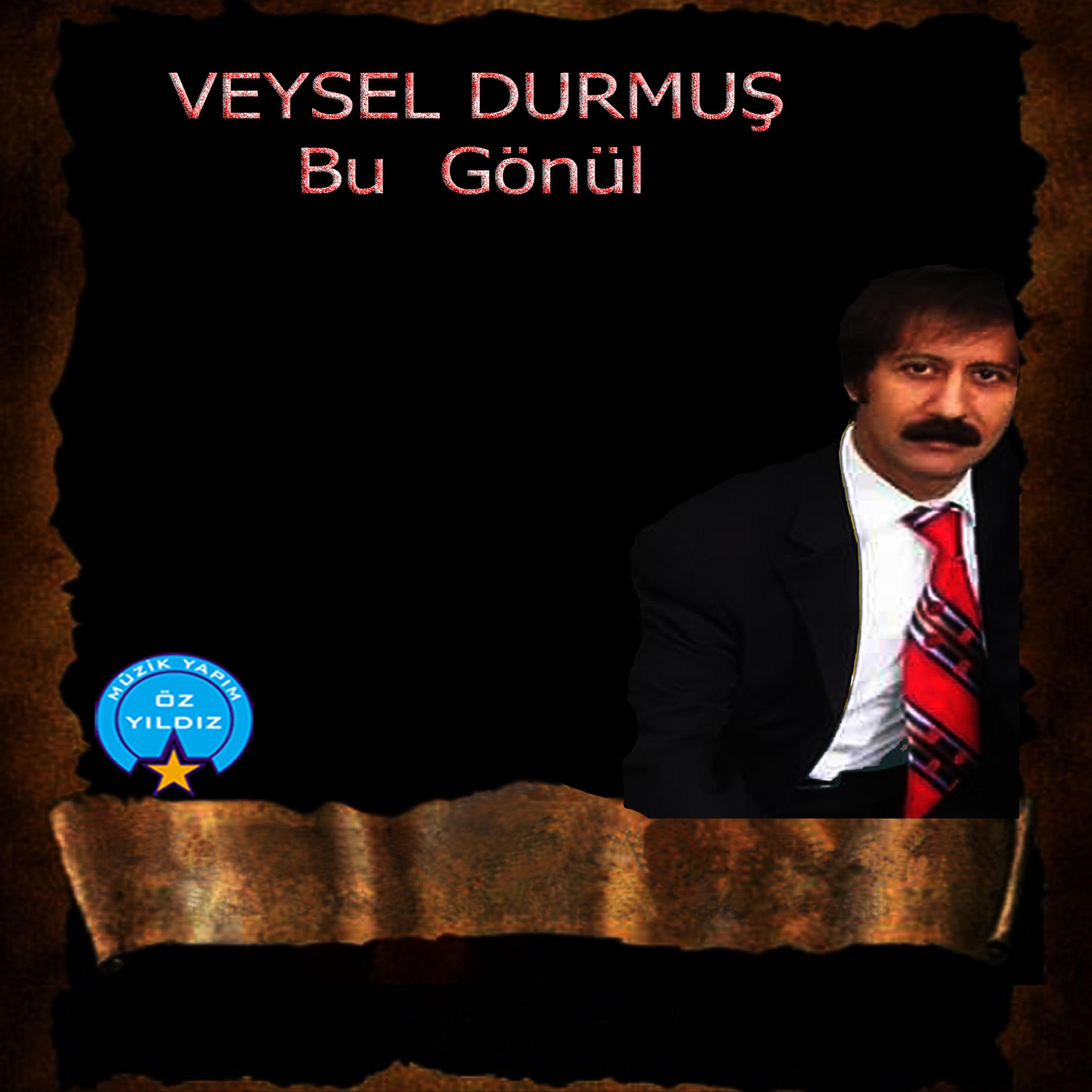 Постер альбома Bu Gönül