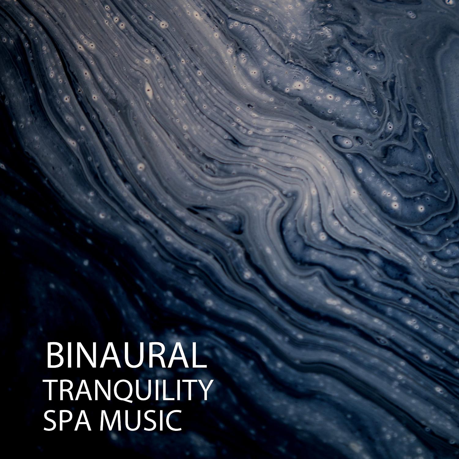 Постер альбома Binaural: Tranquility Spa Music