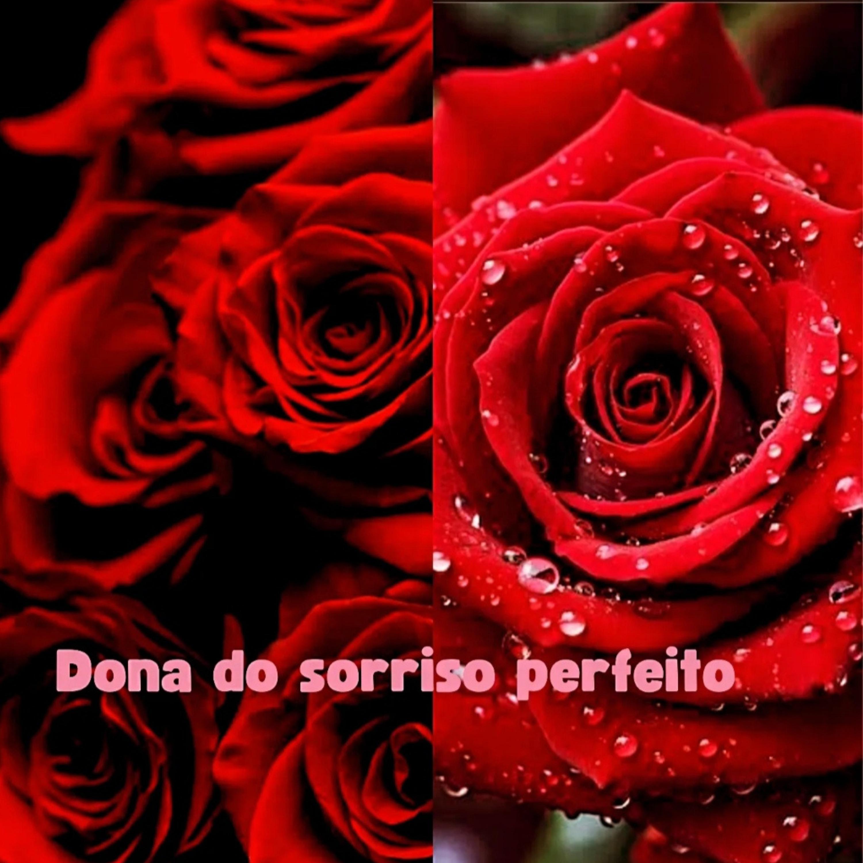 Постер альбома Dona do Sorriso Perfeito