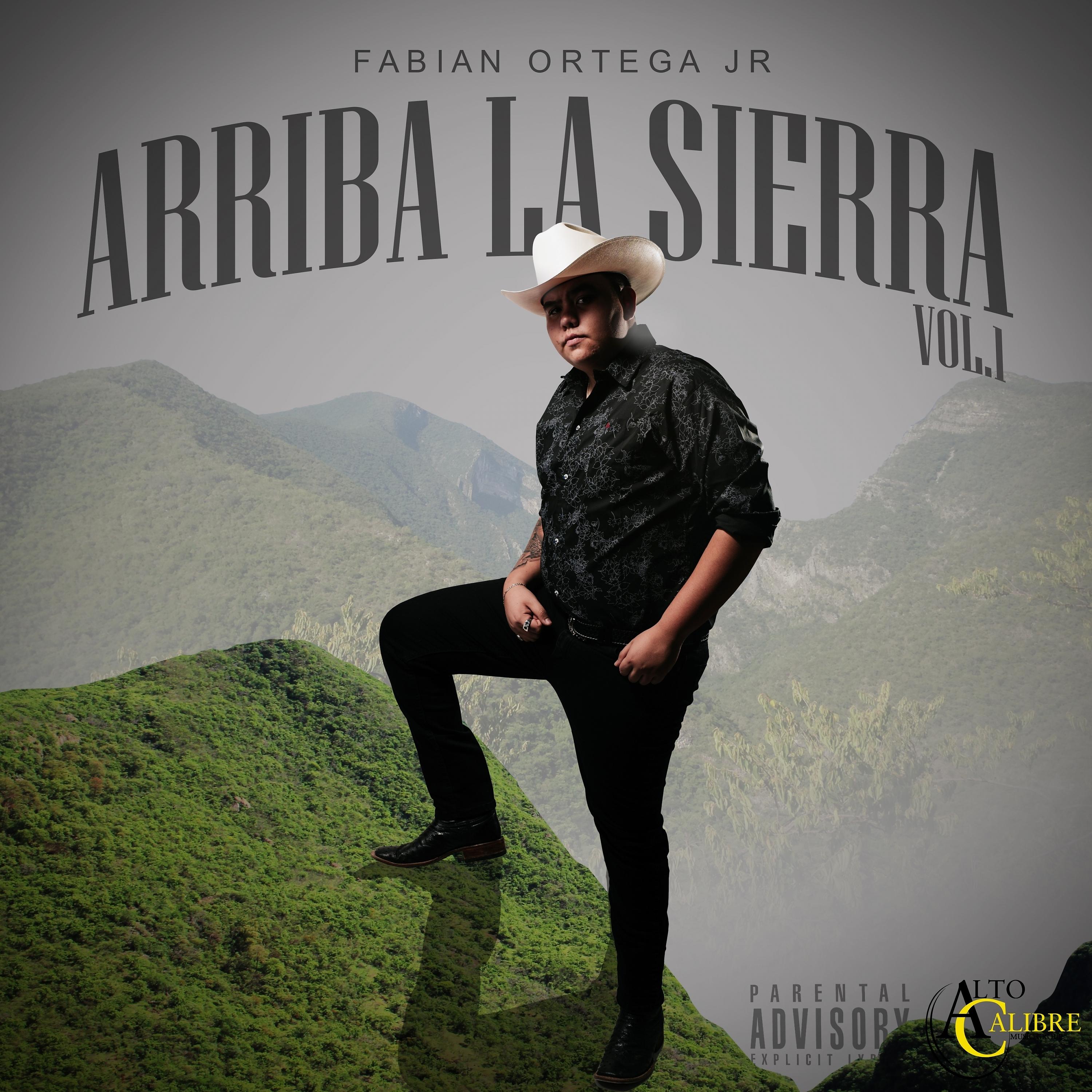 Постер альбома Arriba la Sierra, Vol. 1