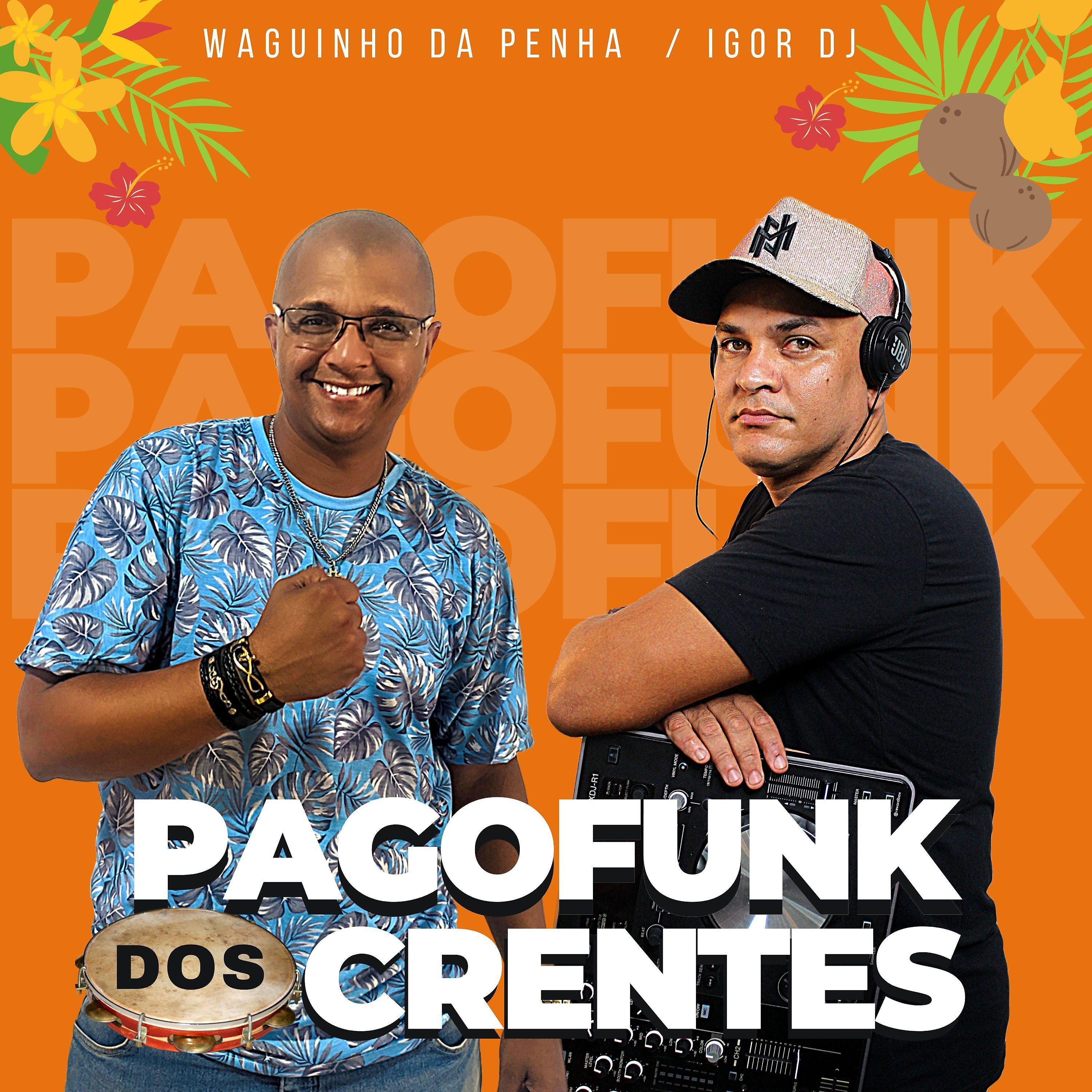 Постер альбома Pagofunk dos Crentes