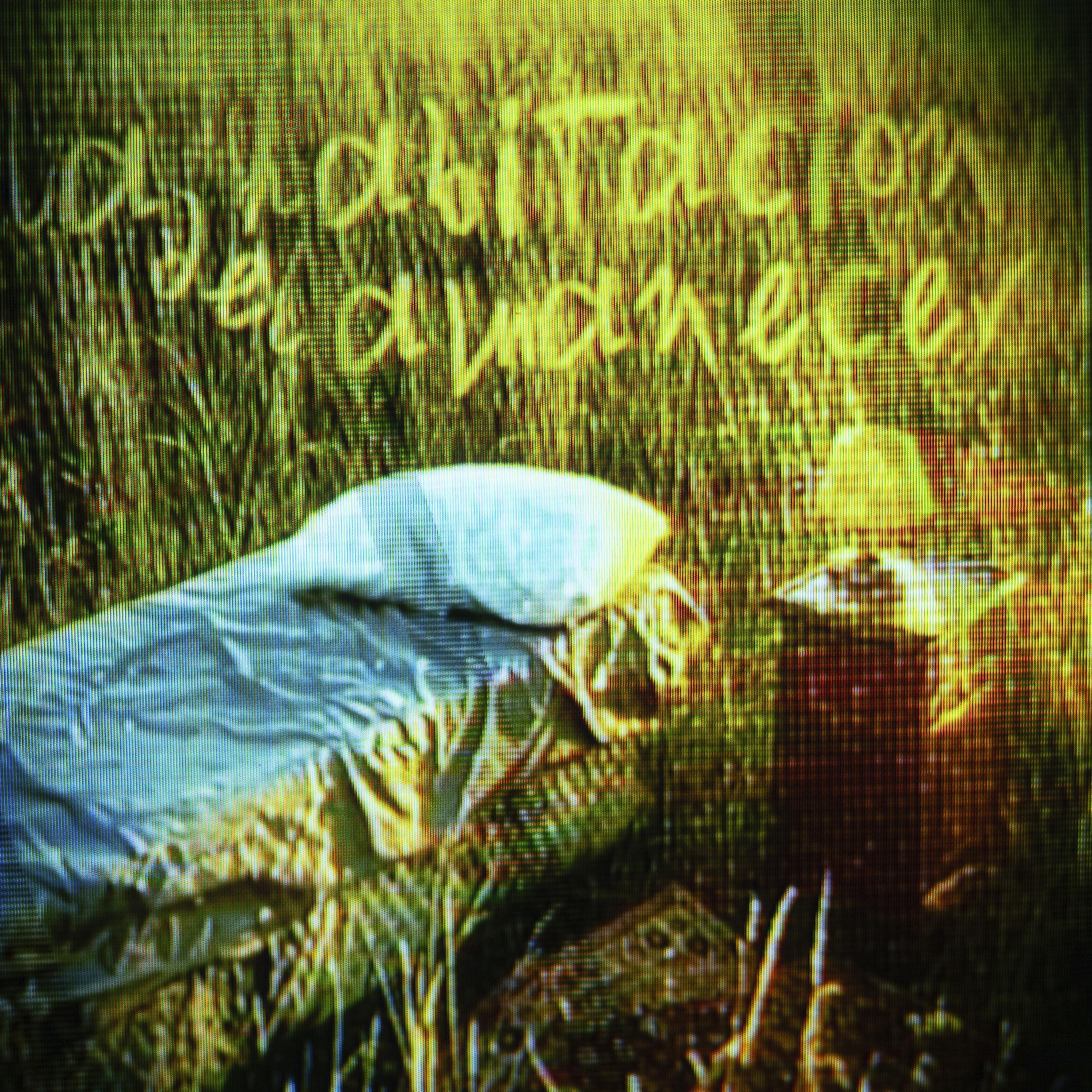 Постер альбома La Habitación del Amanecer