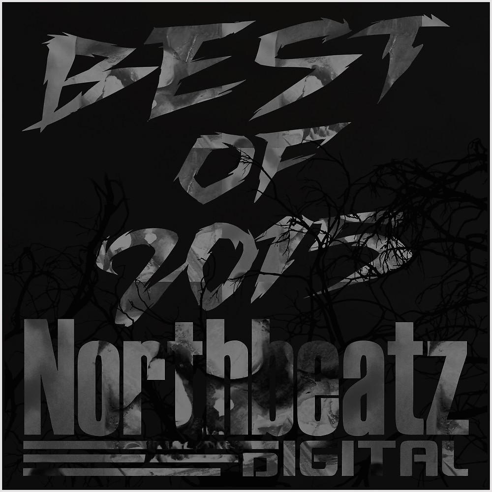 Постер альбома Best of 2015 - Northbeatz Digital