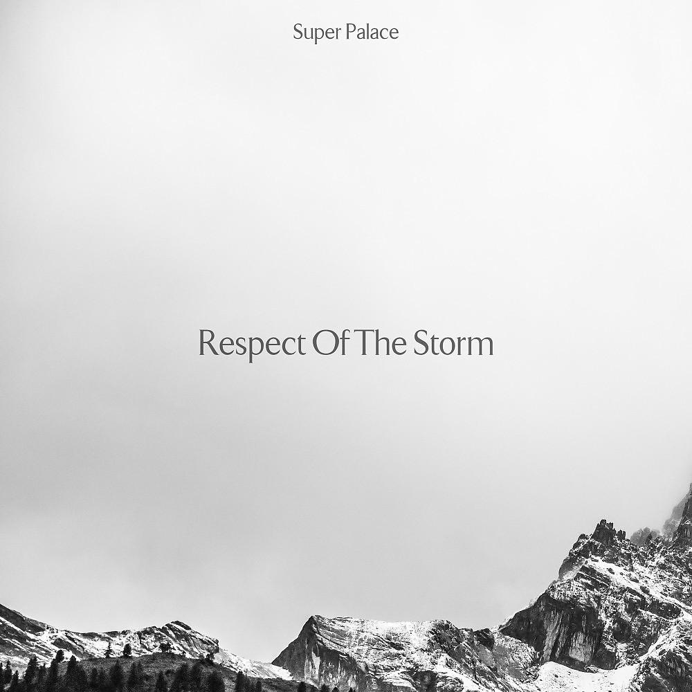 Постер альбома Respect of the Storm