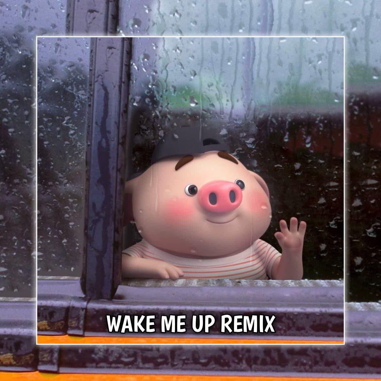 Постер альбома Wake Me Up Remix
