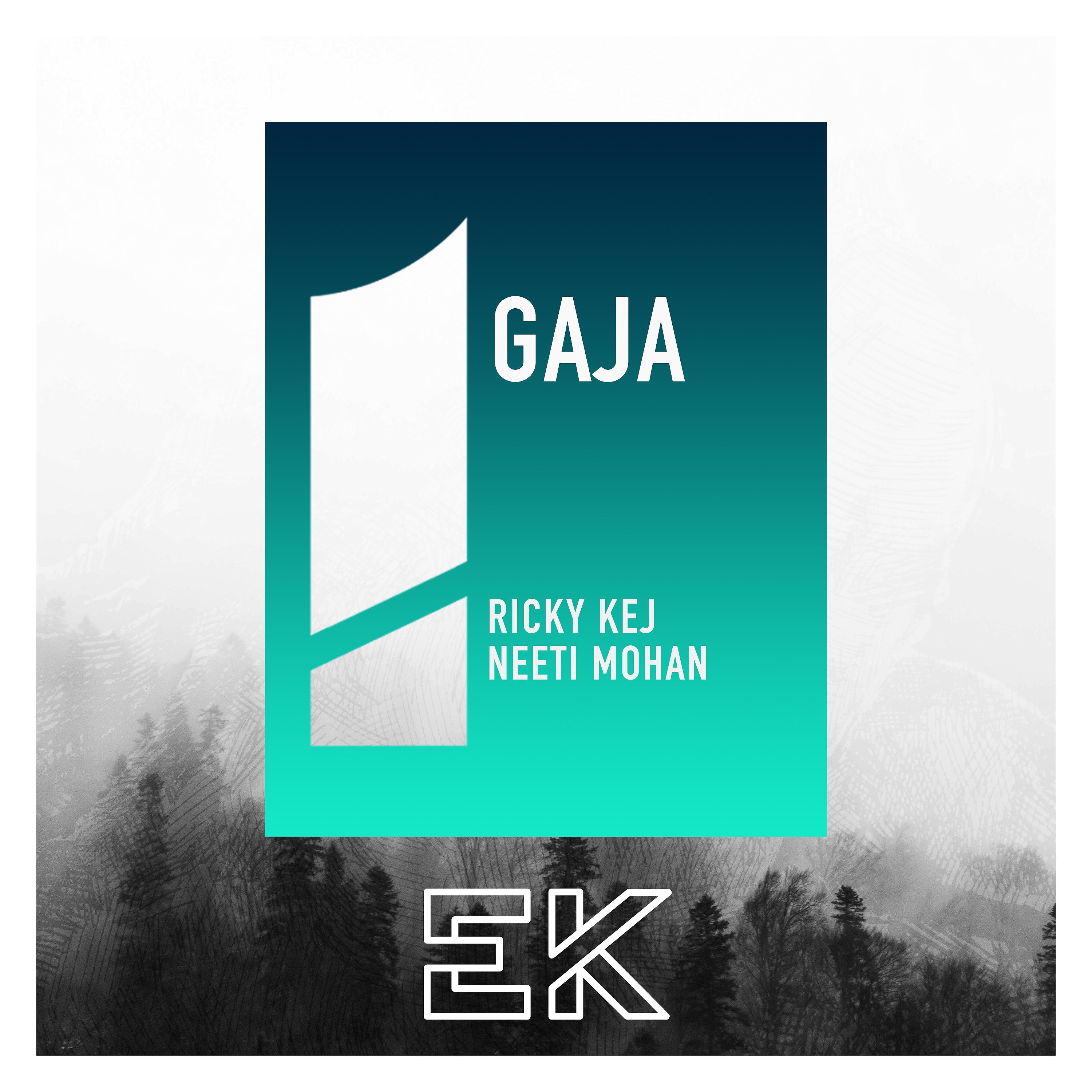 Постер альбома Gaja