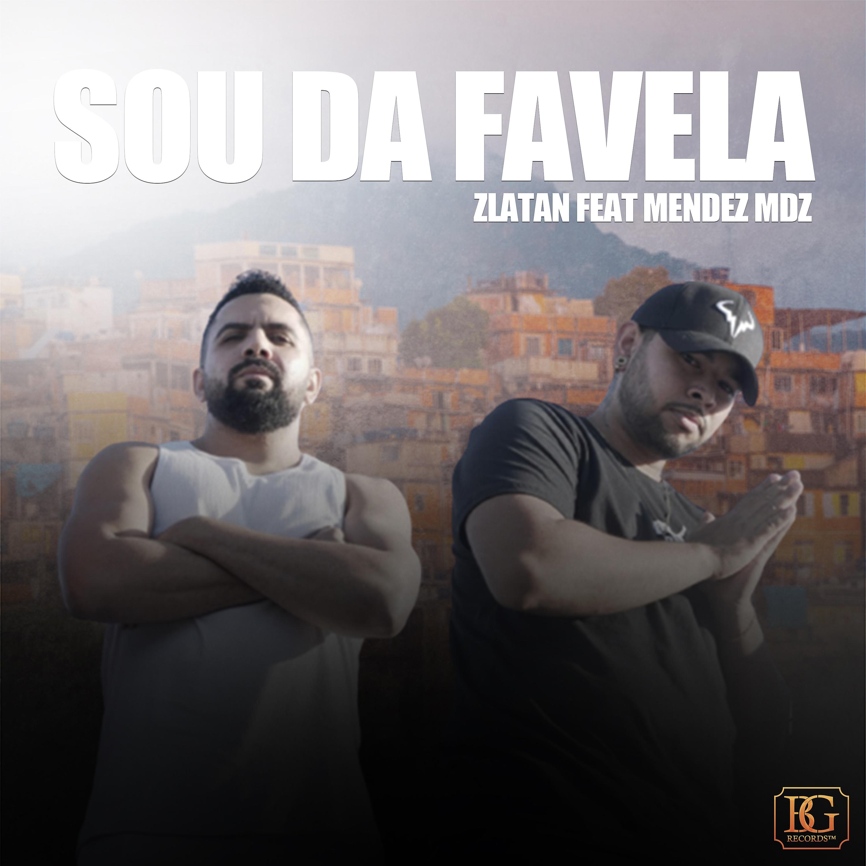 Постер альбома Sou da Favela