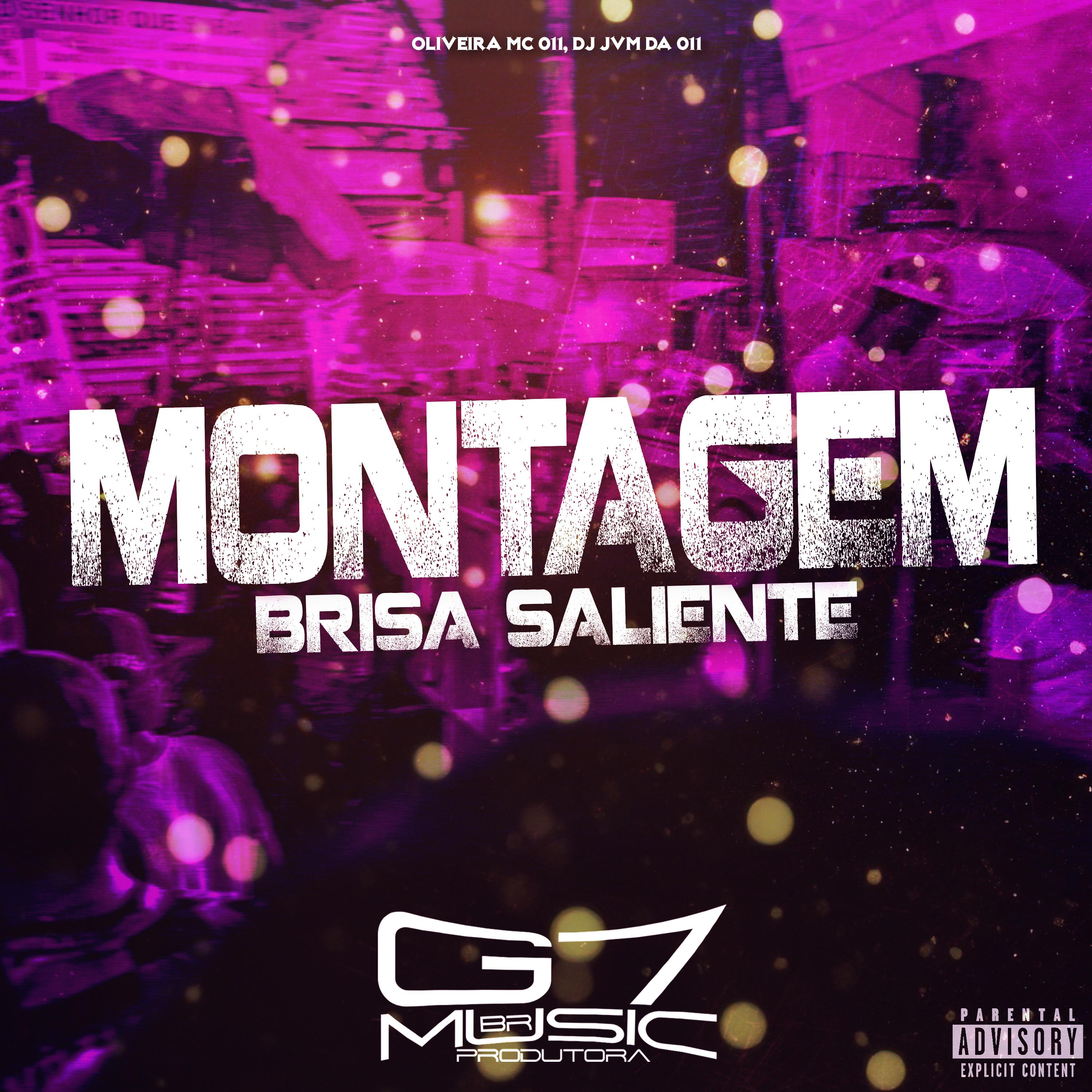 Постер альбома Montagem Brisa Saliente