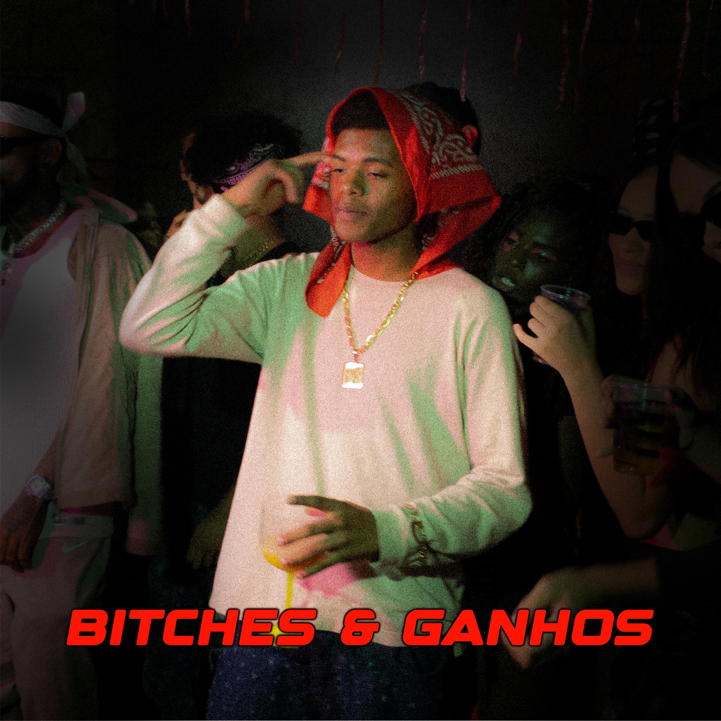 Постер альбома Bitches & Ganhos