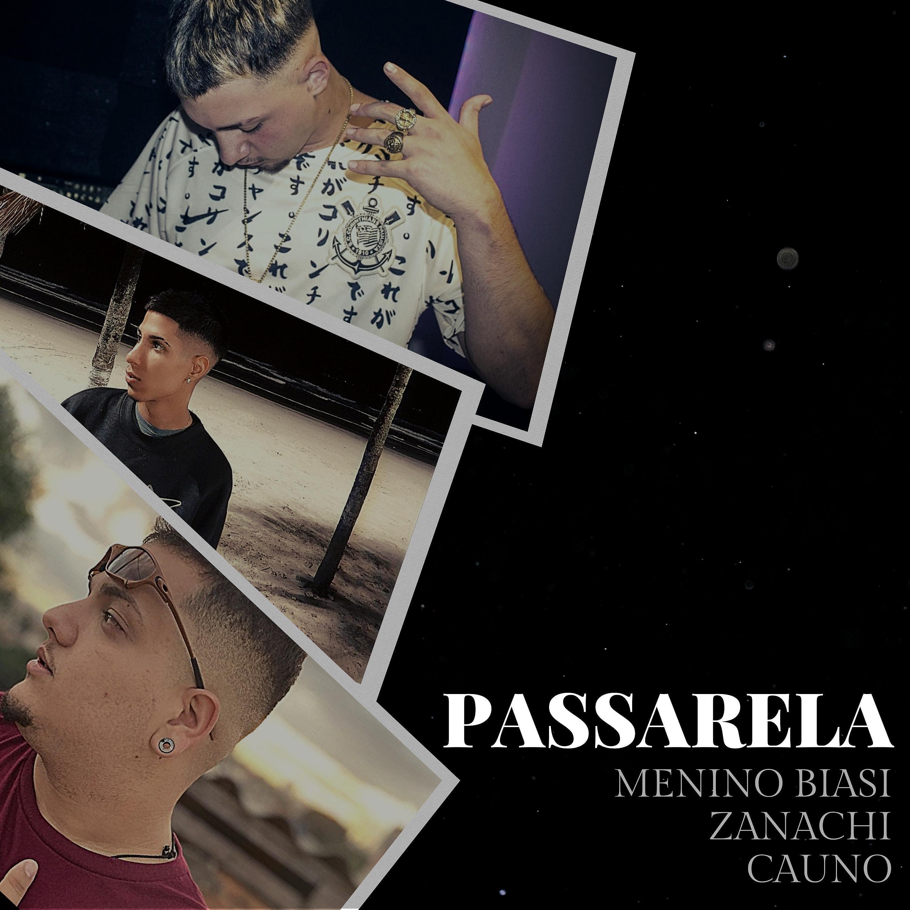 Постер альбома Passarela