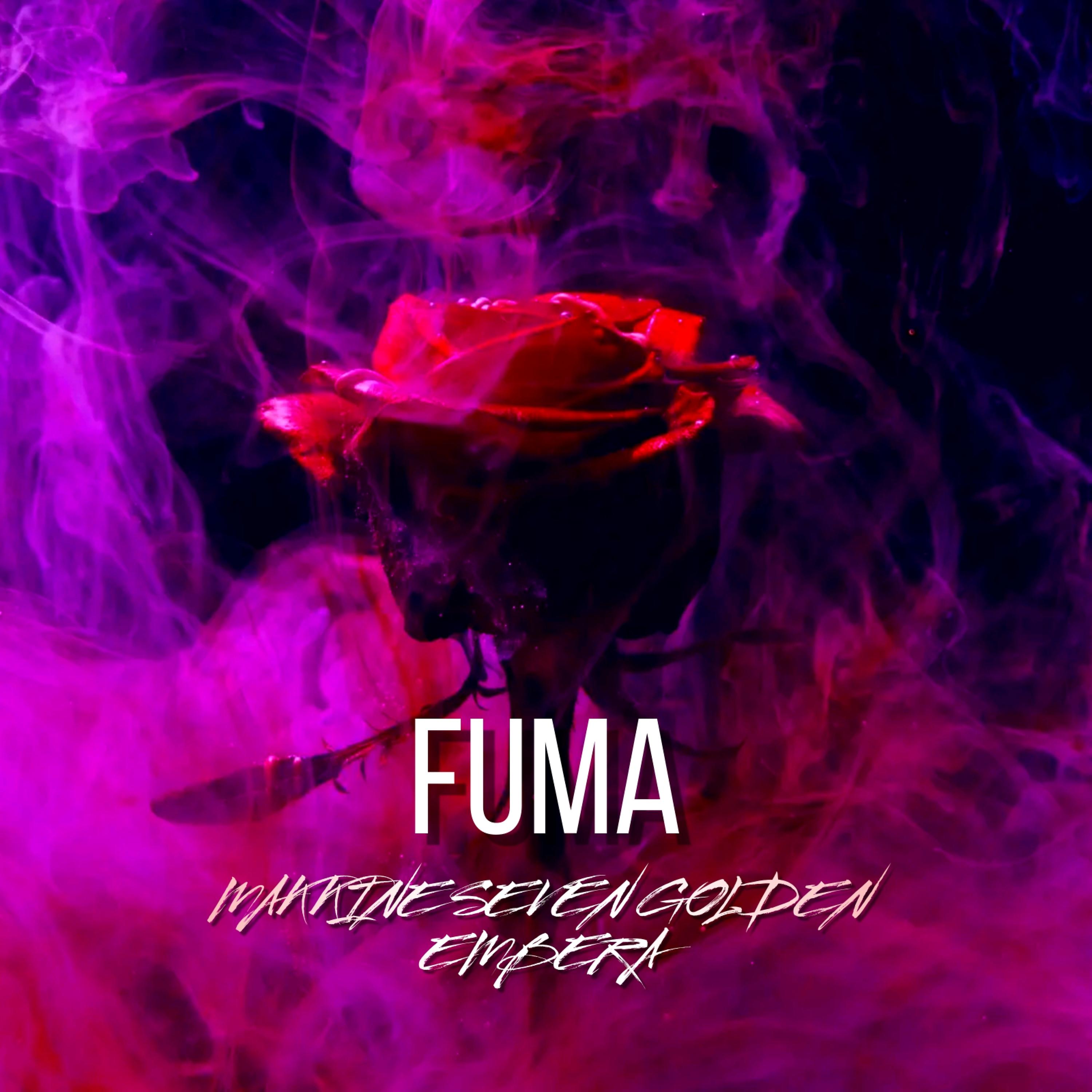 Постер альбома Fuma
