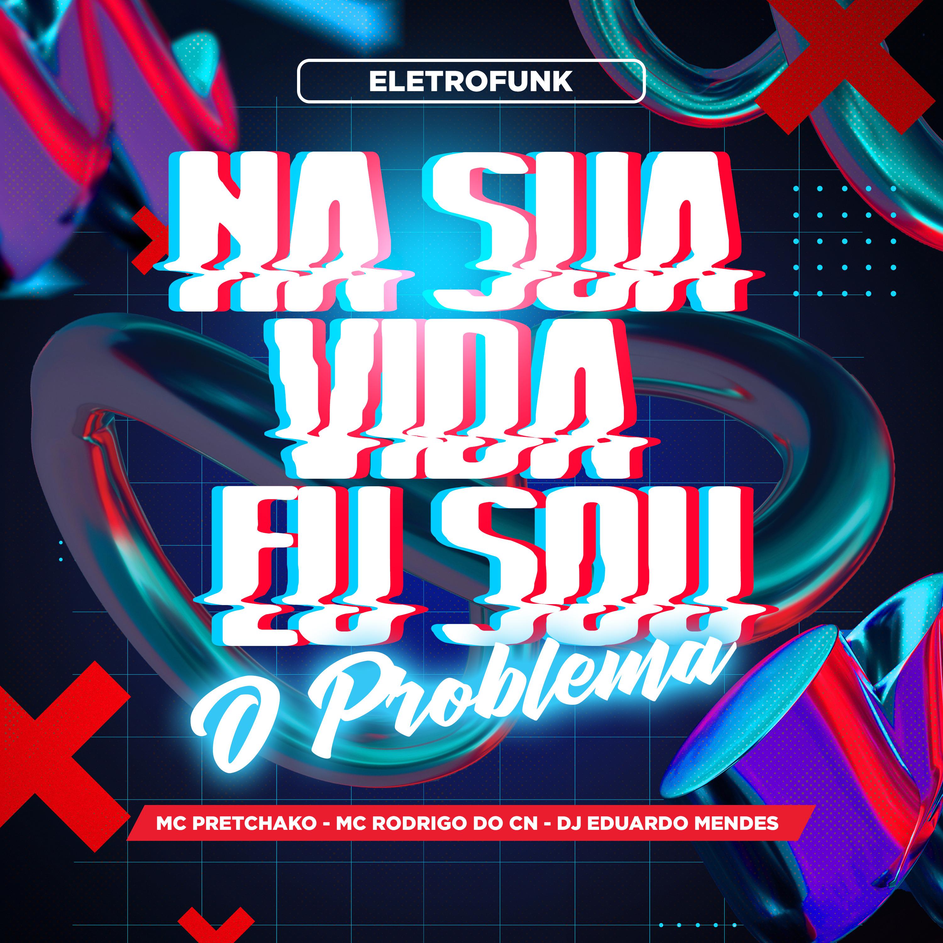 Постер альбома Na Sua Vida Eu Sou o Problema
